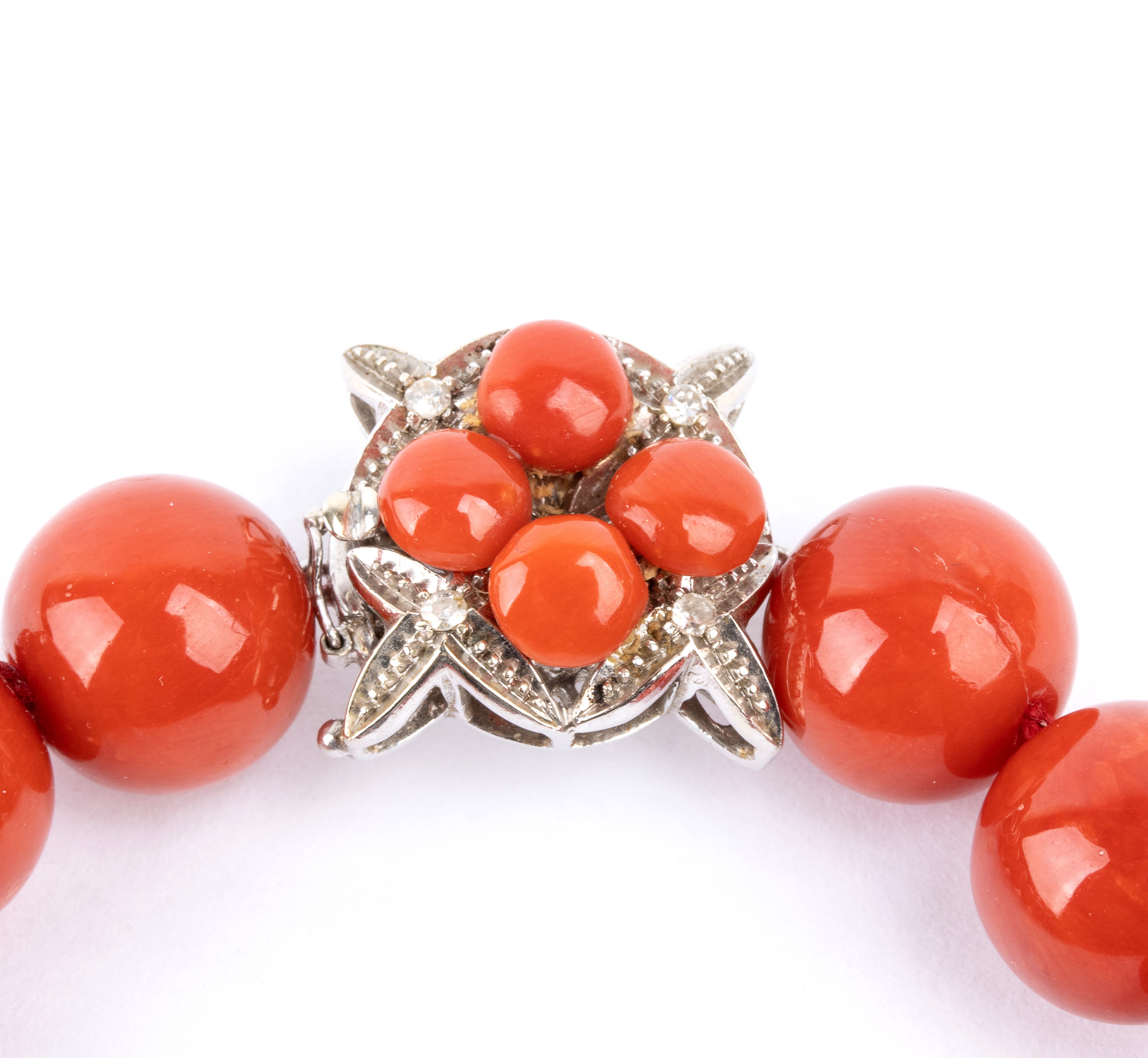 Collana a un filo in corallo Mediterraneo (Corallium rubrum), chiusura in oro bianco 18k con deco...