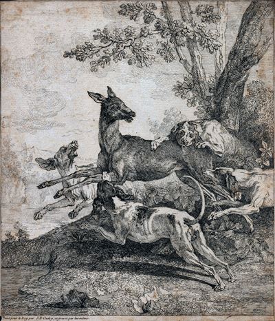 Caccia al Cervo