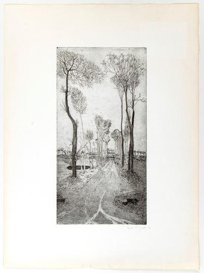 Strada Alberata