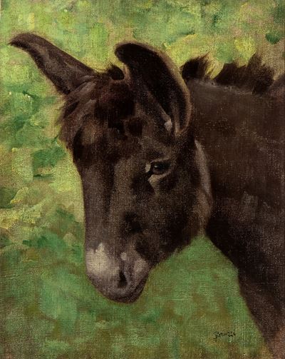 Asinello