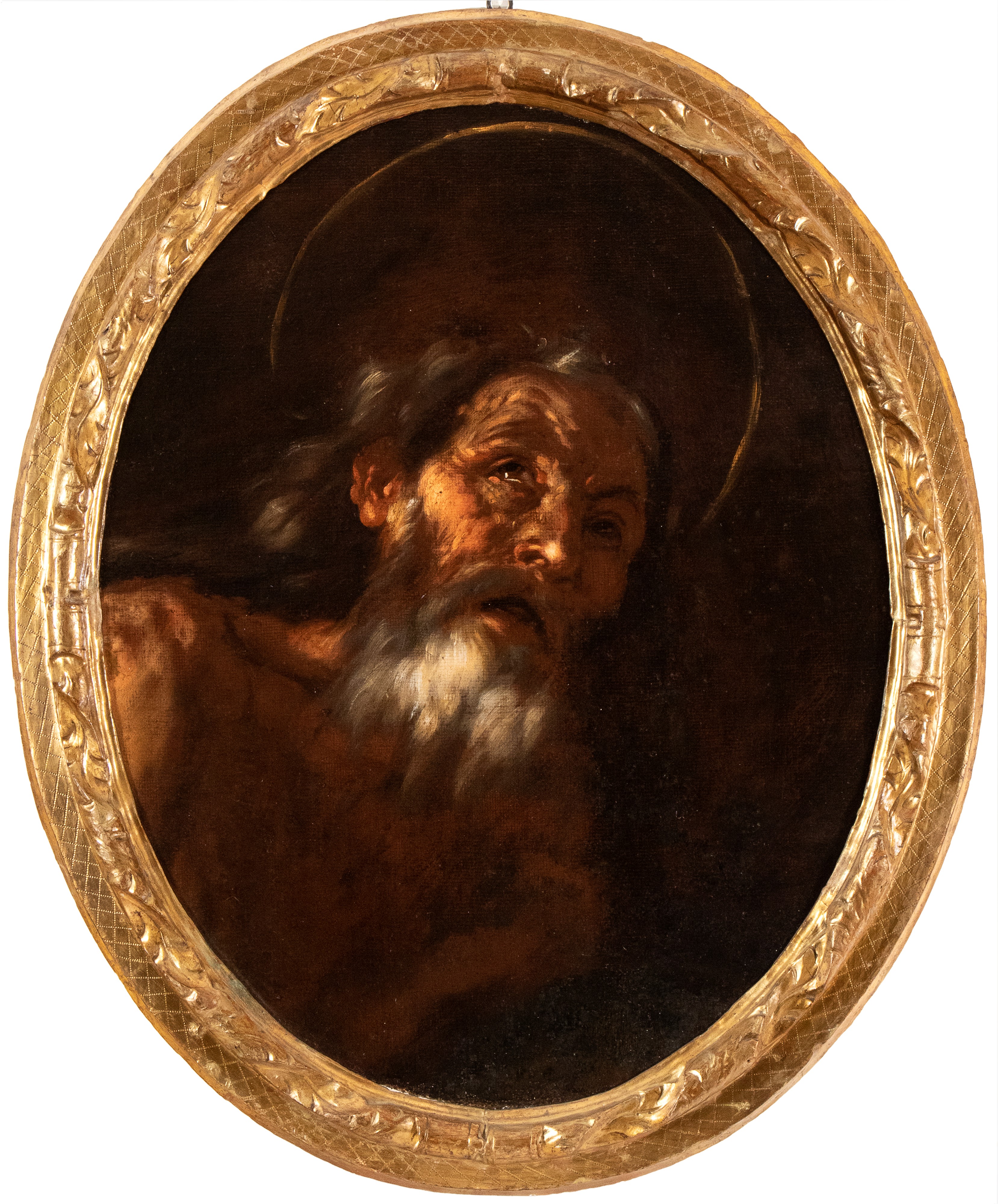 Giovanni Battista Beinaschi - Testa di Santo Eremita
