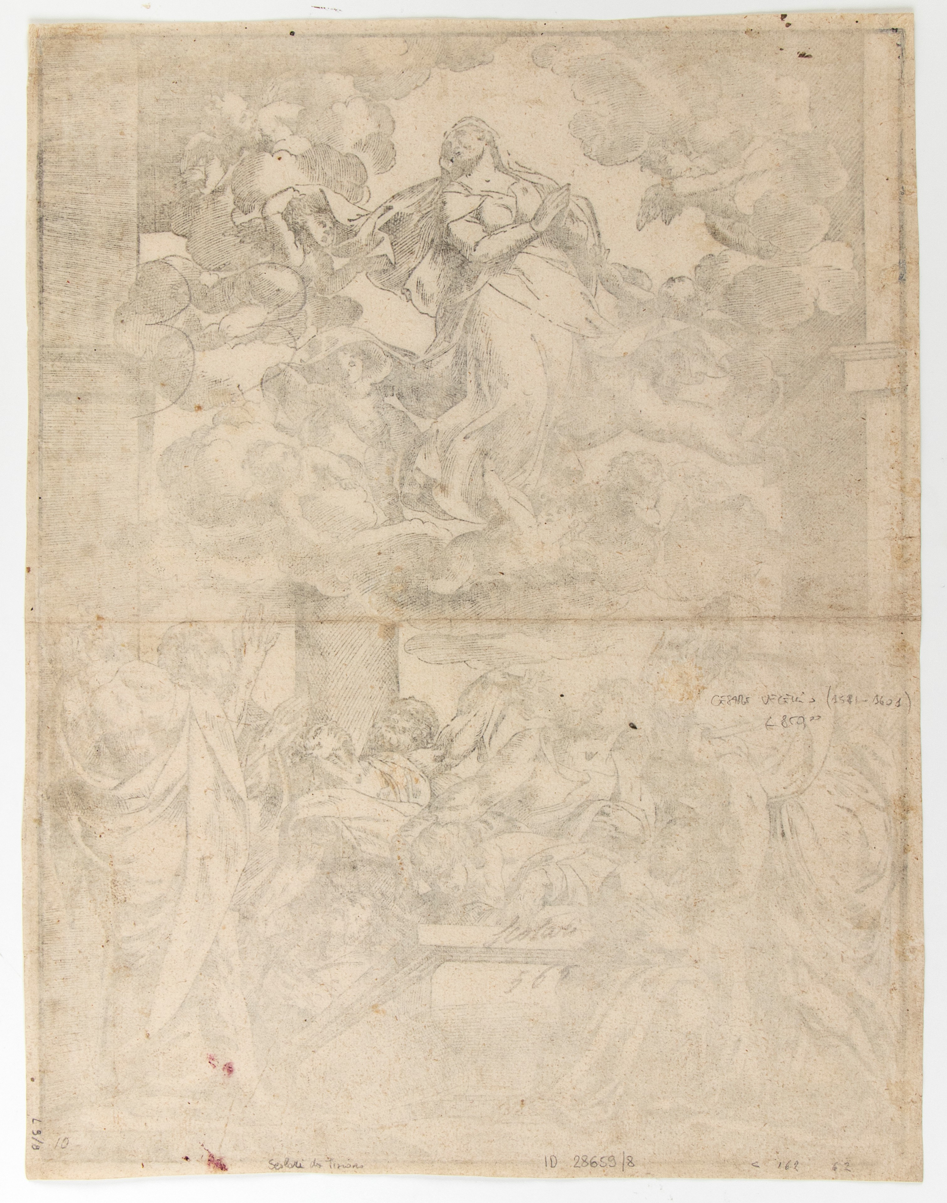 L'Assunzione della Vergine