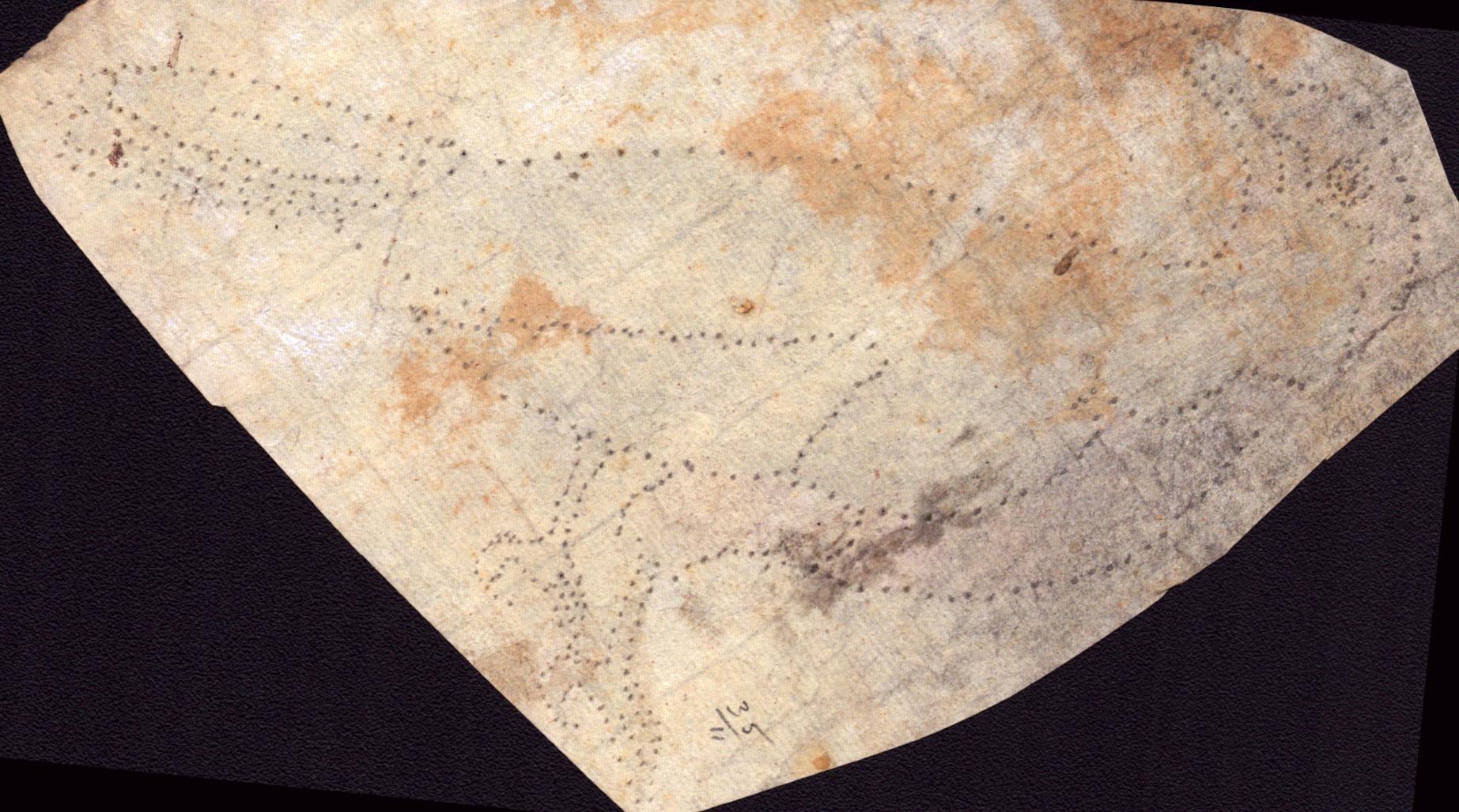 Sei fogli con studi di diversi uccelli