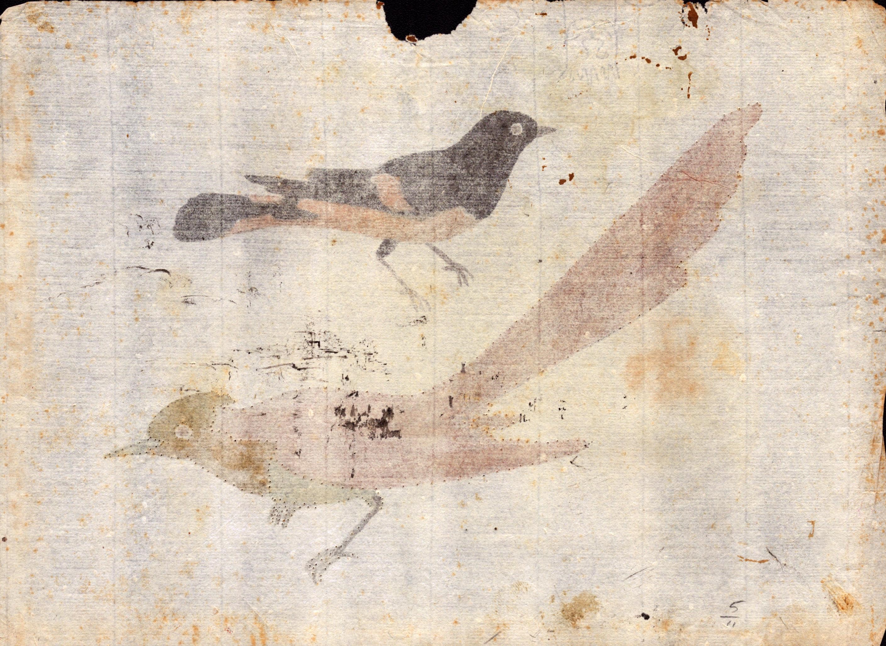 Sei fogli con studi di diversi uccelli