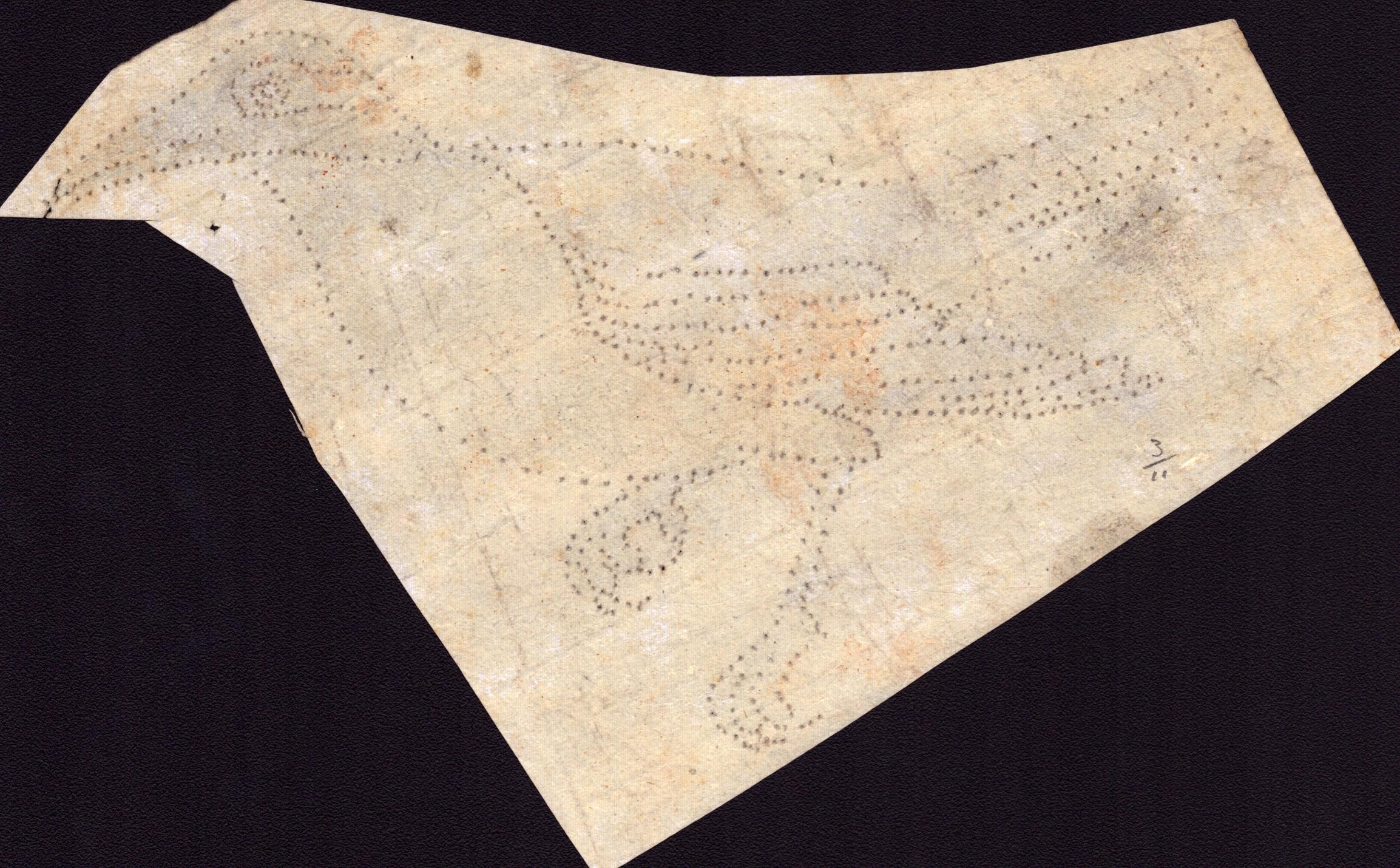 Sei fogli con studi di diversi uccelli