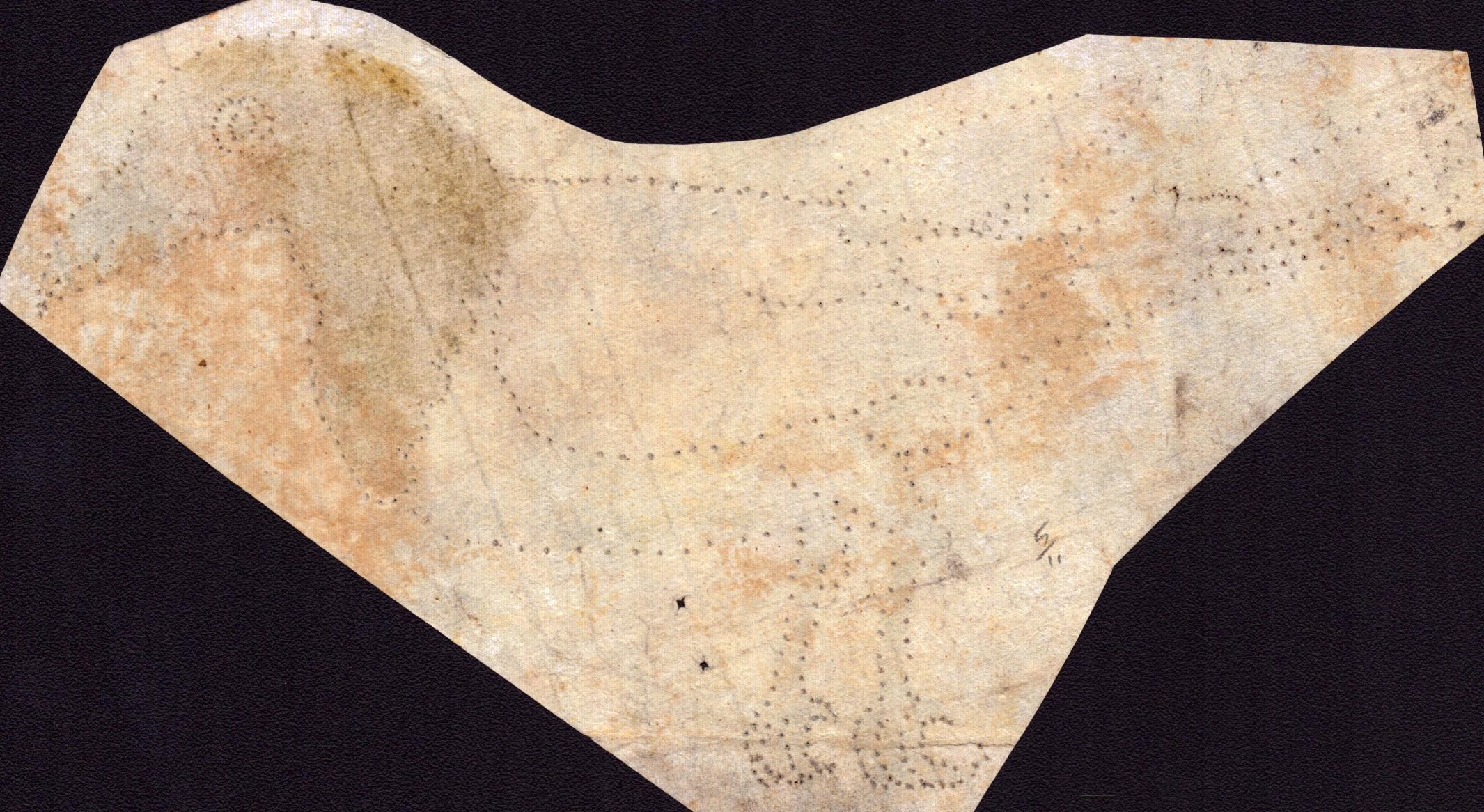 Sei fogli con studi di diversi uccelli