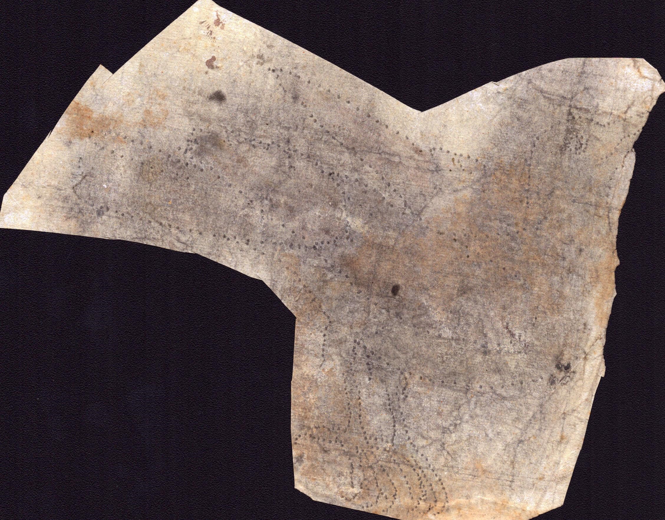 Sei fogli con studi di diversi uccelli