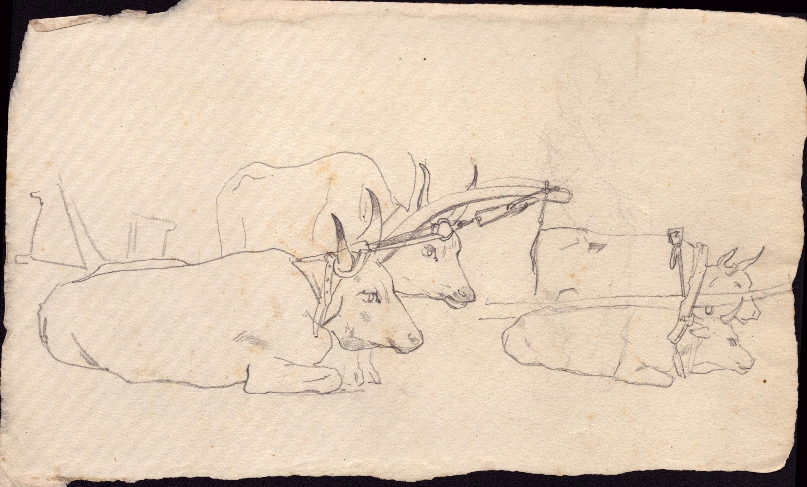 Serie di otto schizzi con soggetti varii