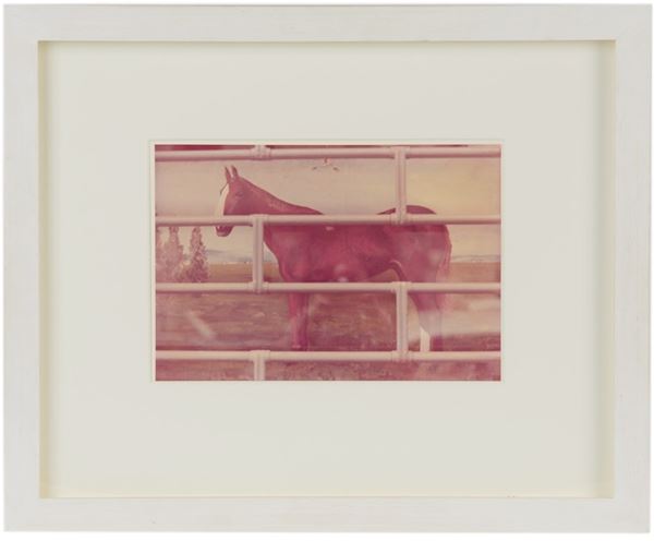 LUIGI GHIRRI - Kodachrome