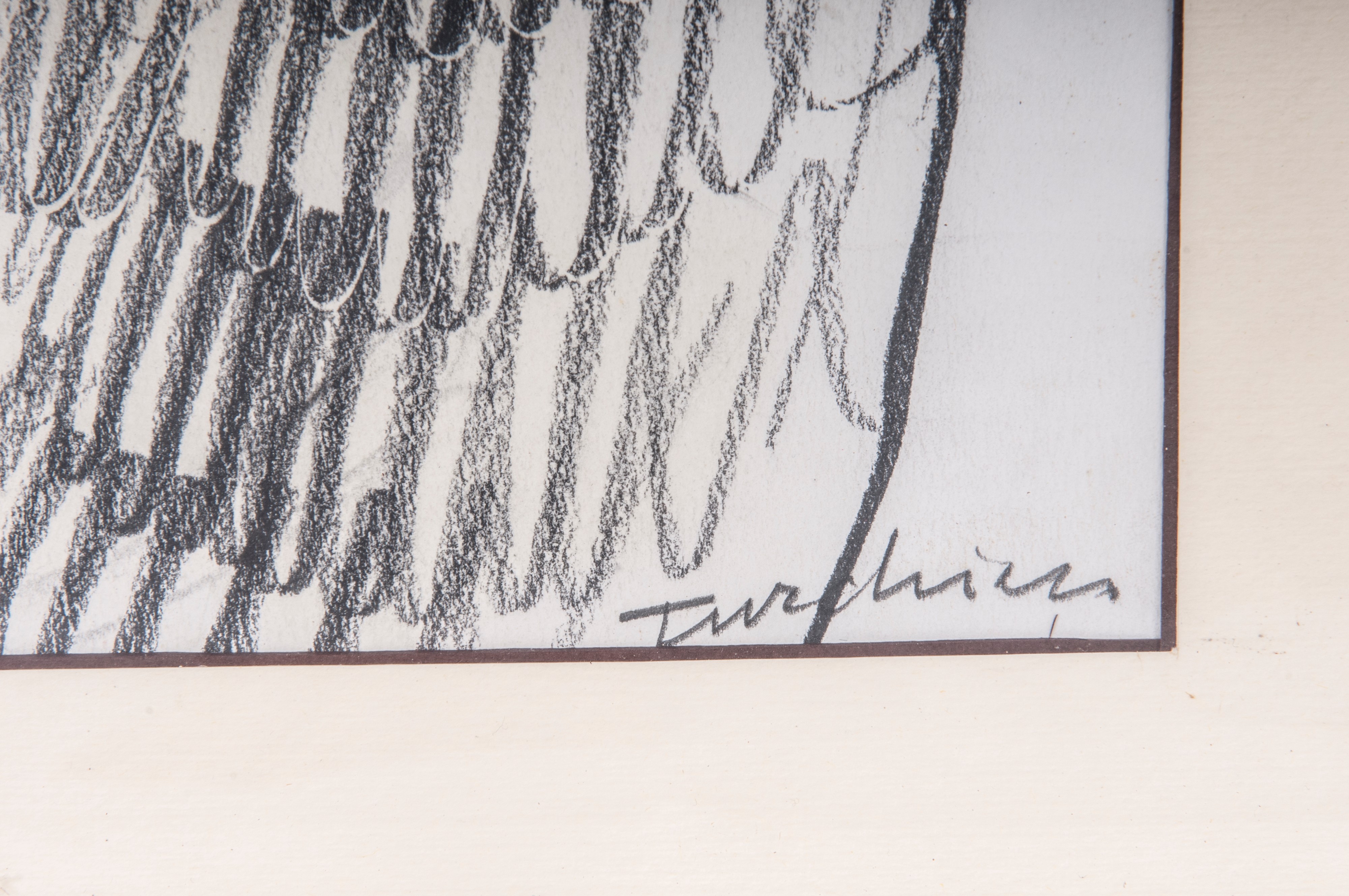 Testa di piccione, multiplo su carta