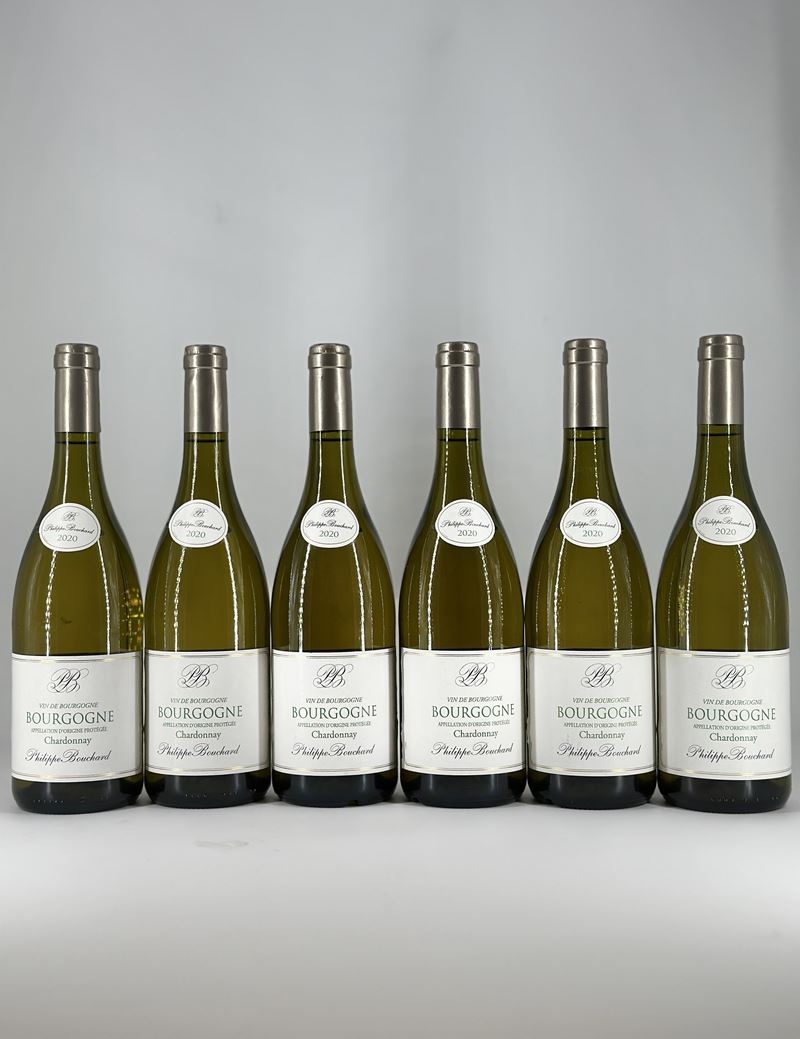 Selezione Philippe Bouchard, Bourgogne Chardonnay