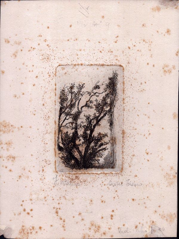 FRANCESCO VITALINI - Castel Fusano