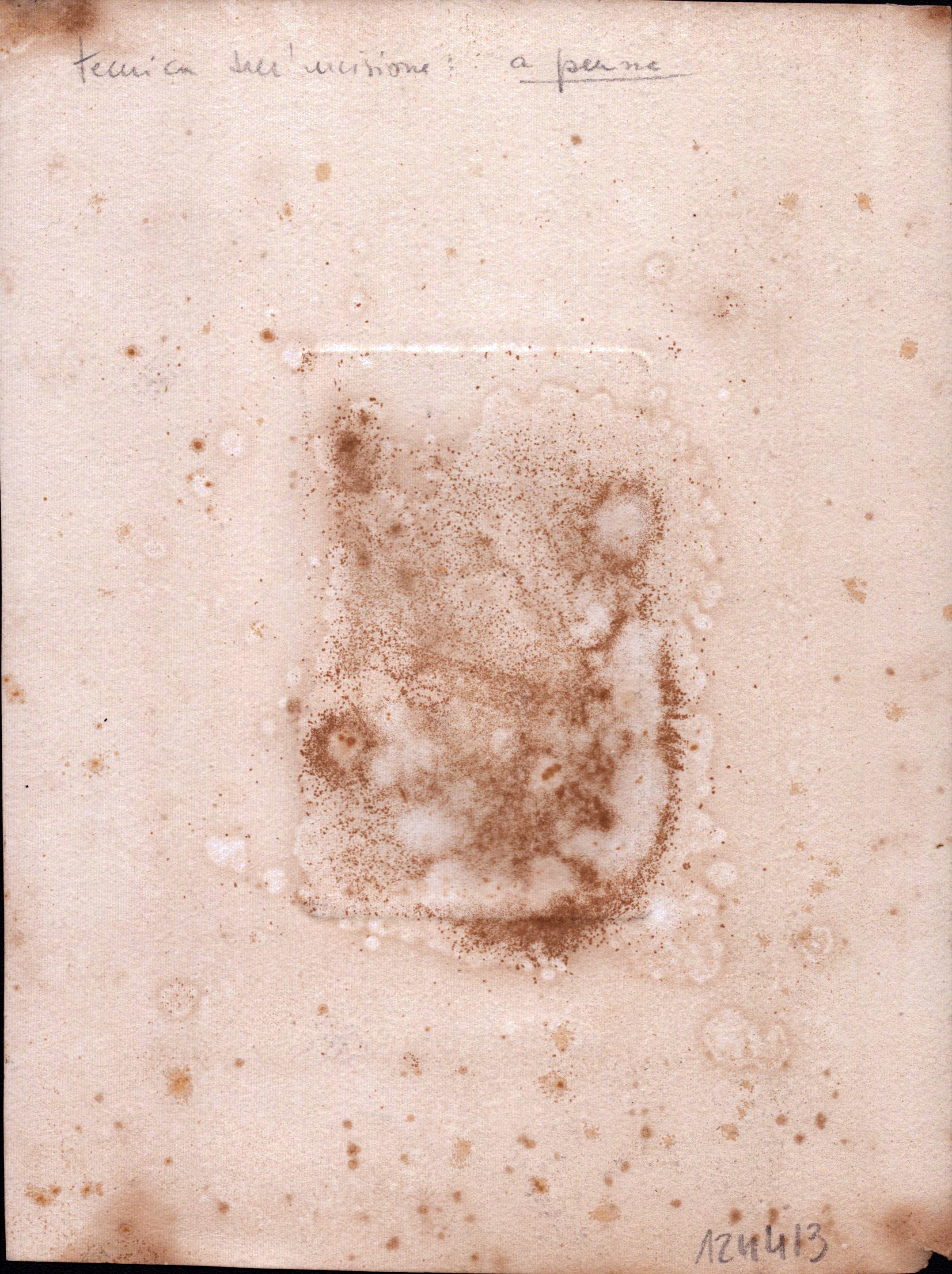 Francesco Vitalini - Castel Fusano