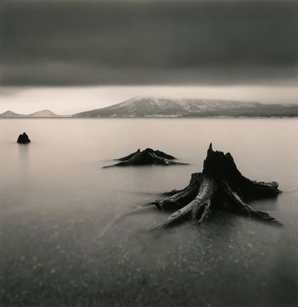 MICHAEL KENNA - Tree Remains
