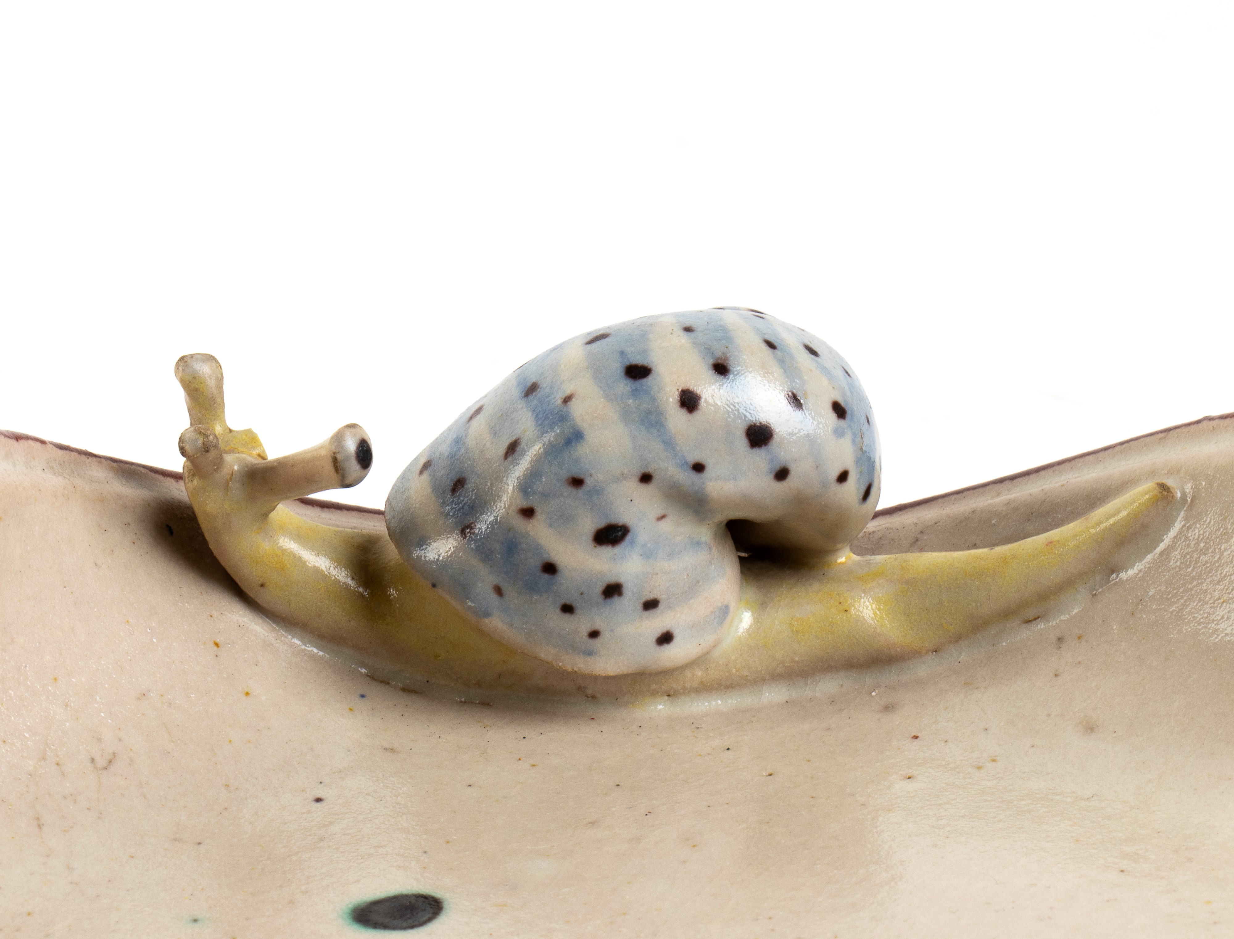 Piatto concavo con decorazione di pesci e rilievo di lumaca e rana, Cava dei Tirreni