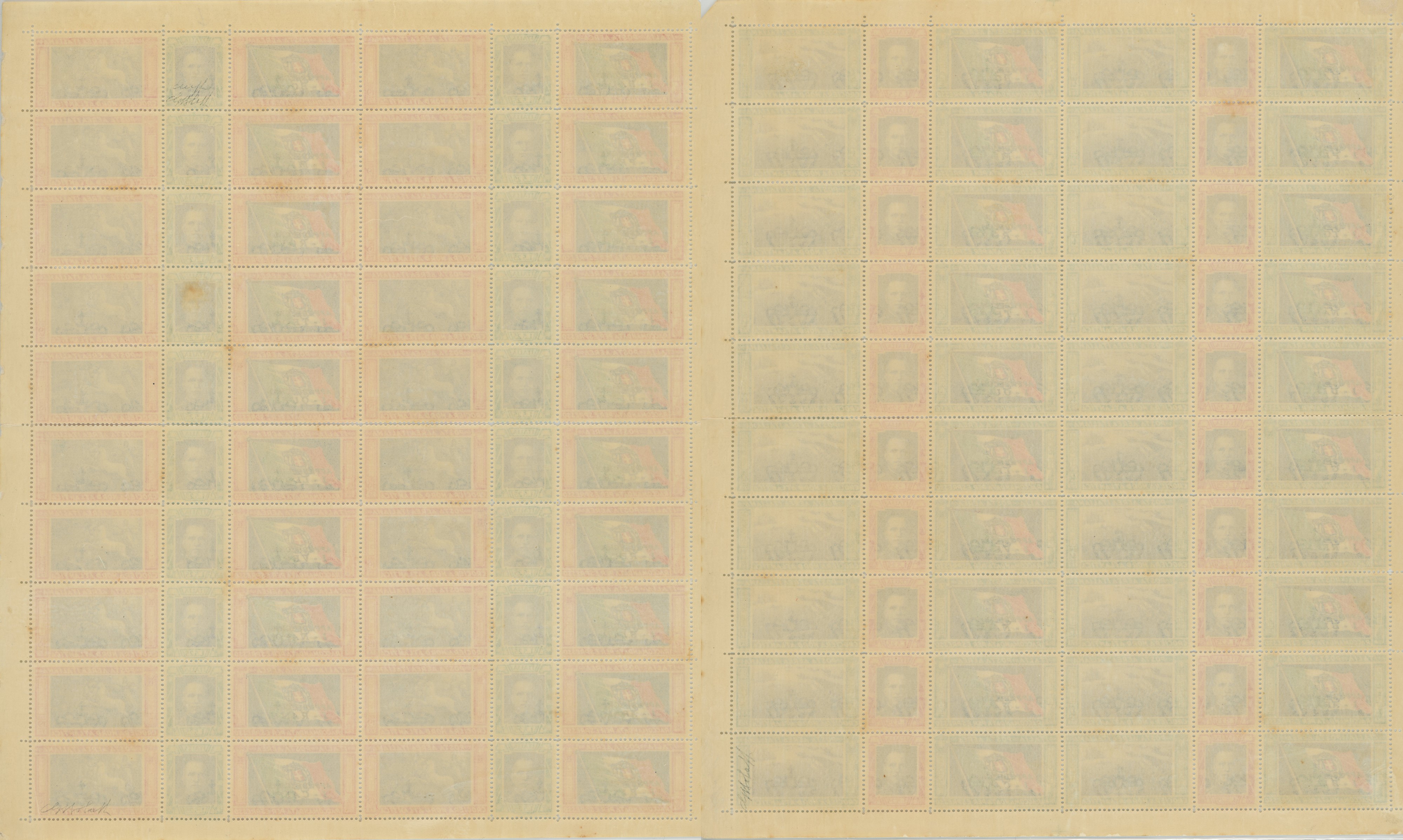 Regno - I fogli dei trittici con la varietà ''Ciuffo''