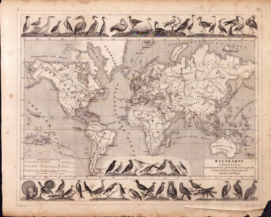 Lotto di mappe varie