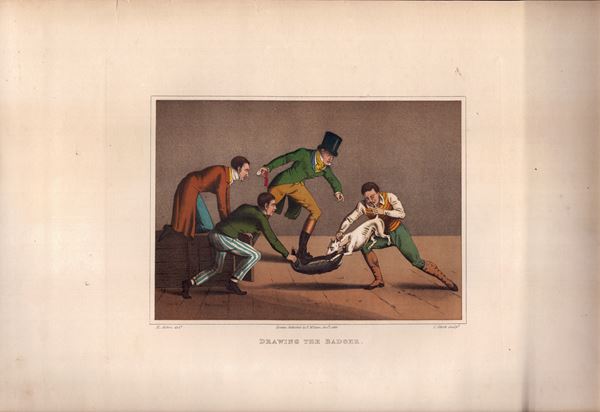 Henry Alken - Bull biting | Cock fighting | Drawing the badger | Bear biting | Pigeon match