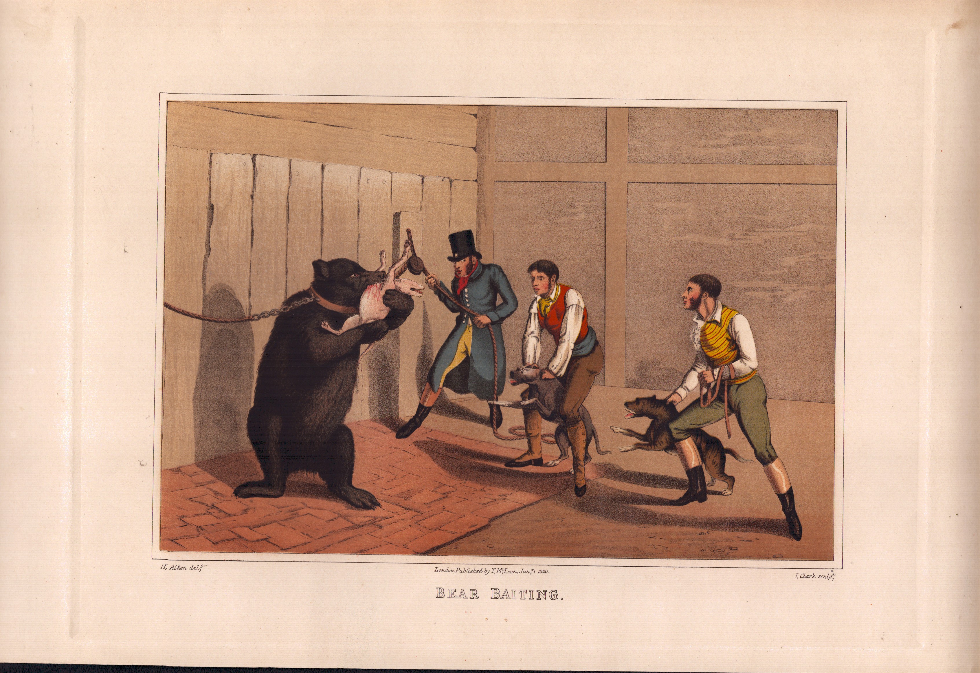 Henry Alken - Bull Biting | Cock Fighting | Drawing The Badger | Bear Biting | Pigeon Match