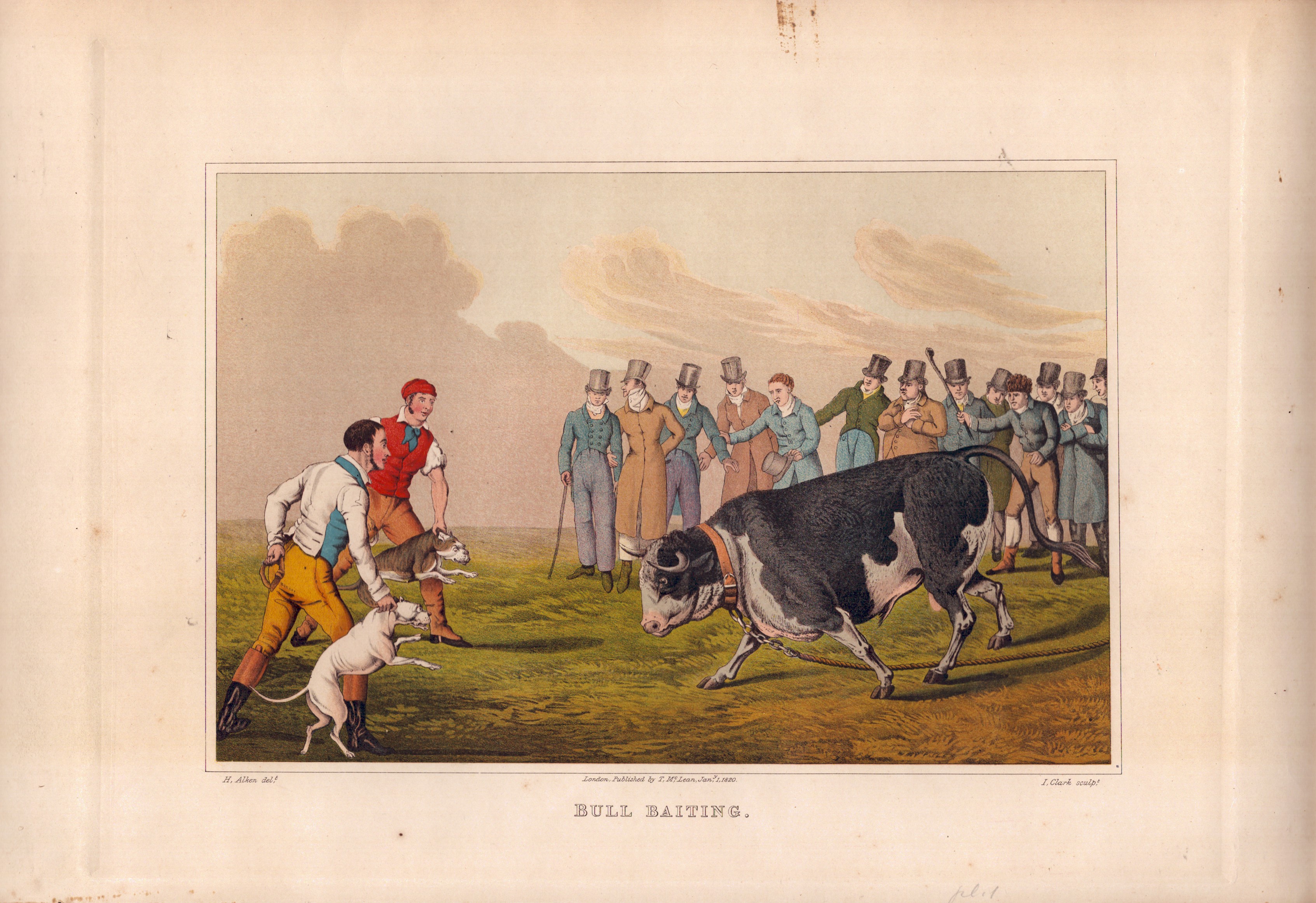 Henry Alken - Bull Biting | Cock Fighting | Drawing The Badger | Bear Biting | Pigeon Match