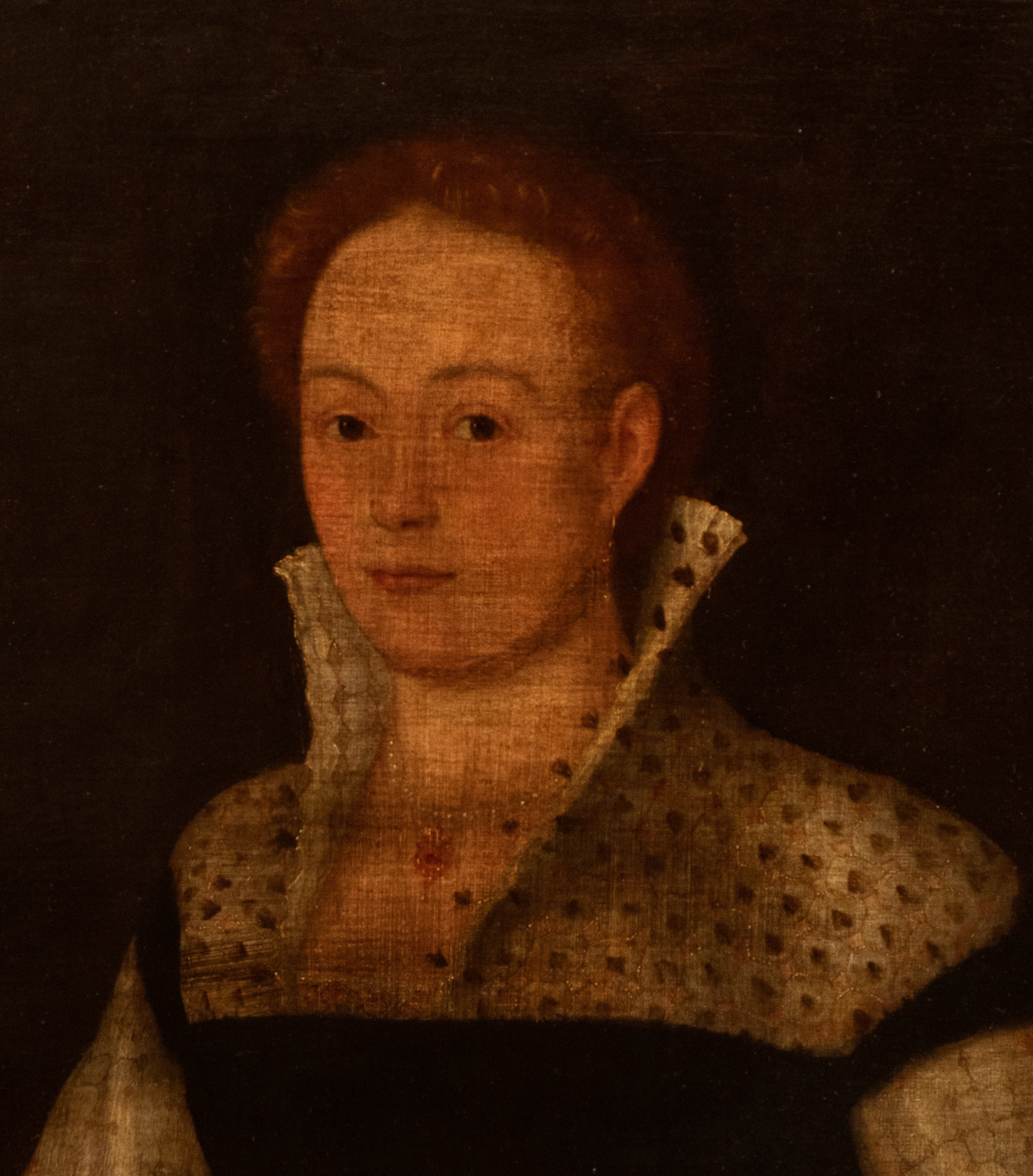 Ritratto di gentildonna con cagnolino