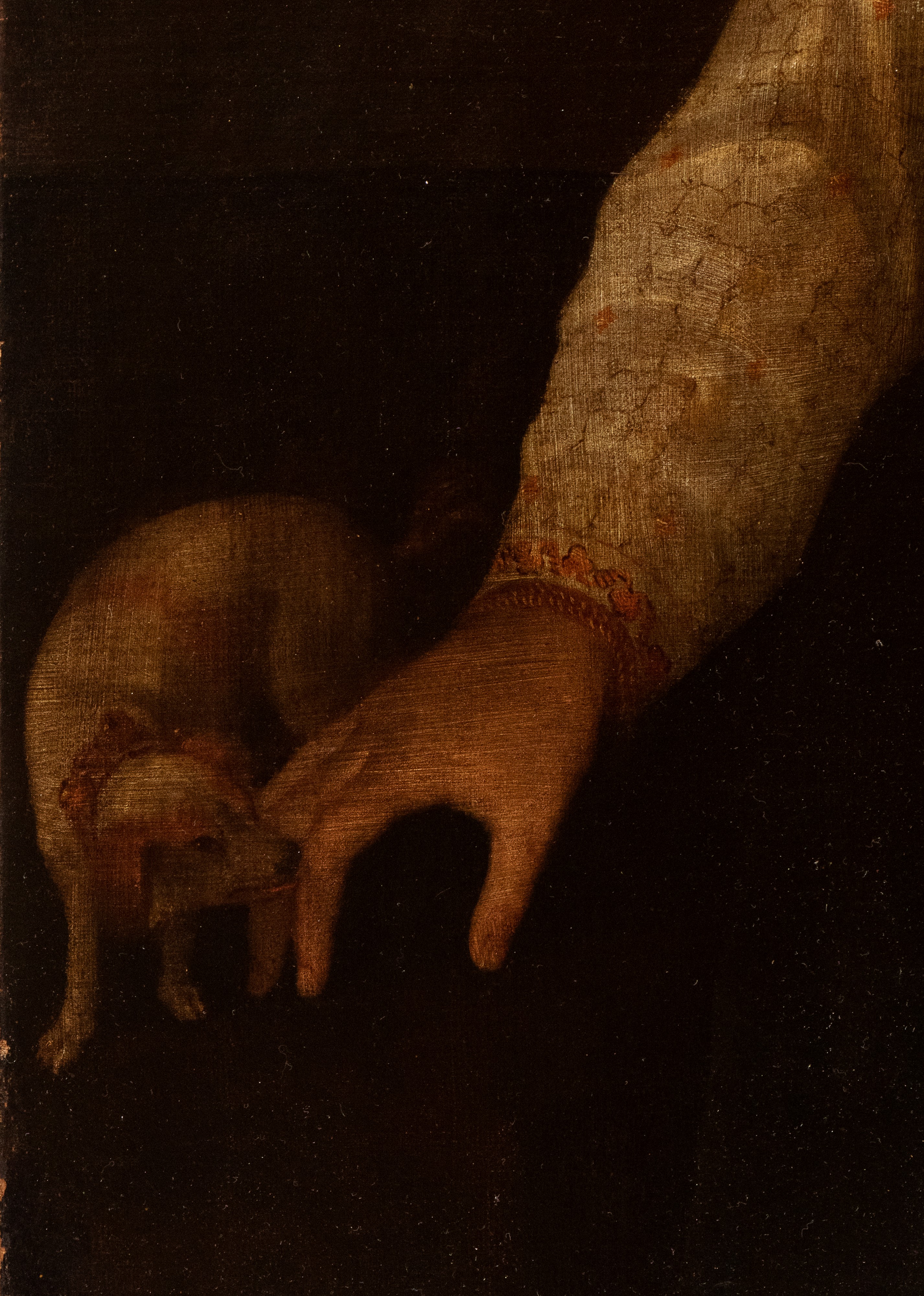 Artista Veneziano, XVI - XVII Secolo - Ritratto di Gentildonna con Cagnolino