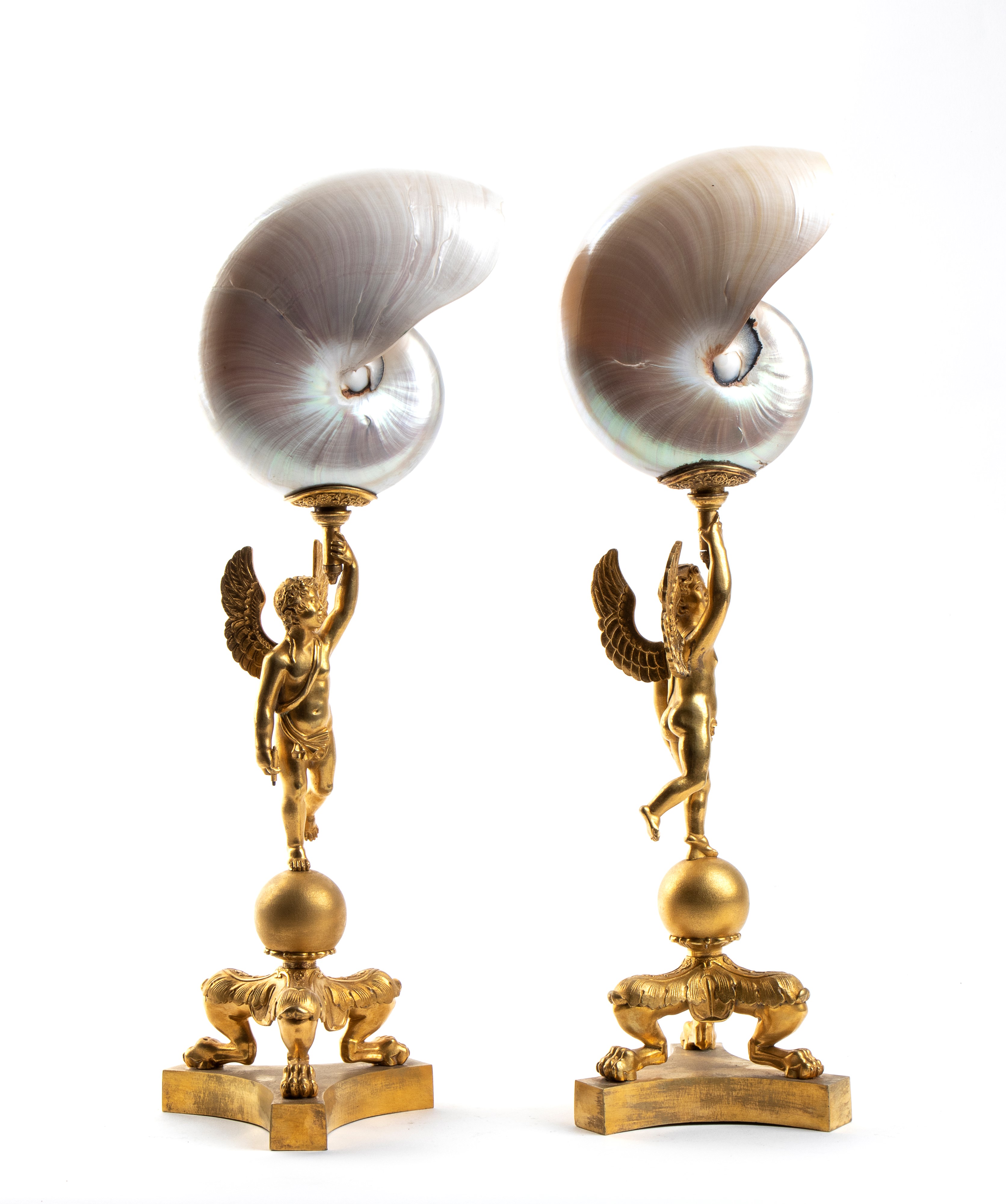 Coppia di nautilus con putto alato su base in bronzo dorato, fine XIX secolo