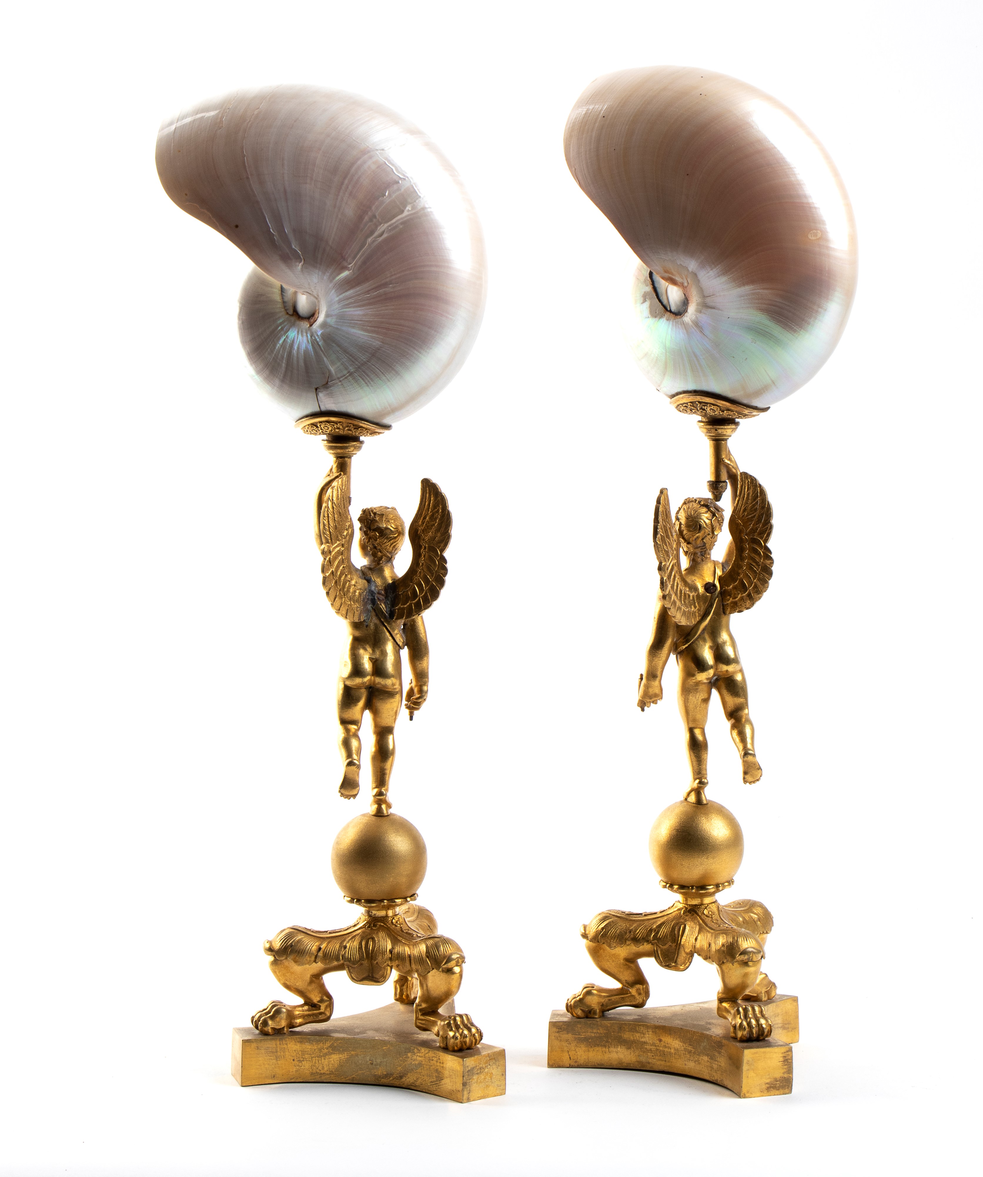 Coppia di nautilus con putto alato su base in bronzo dorato, fine XIX secolo