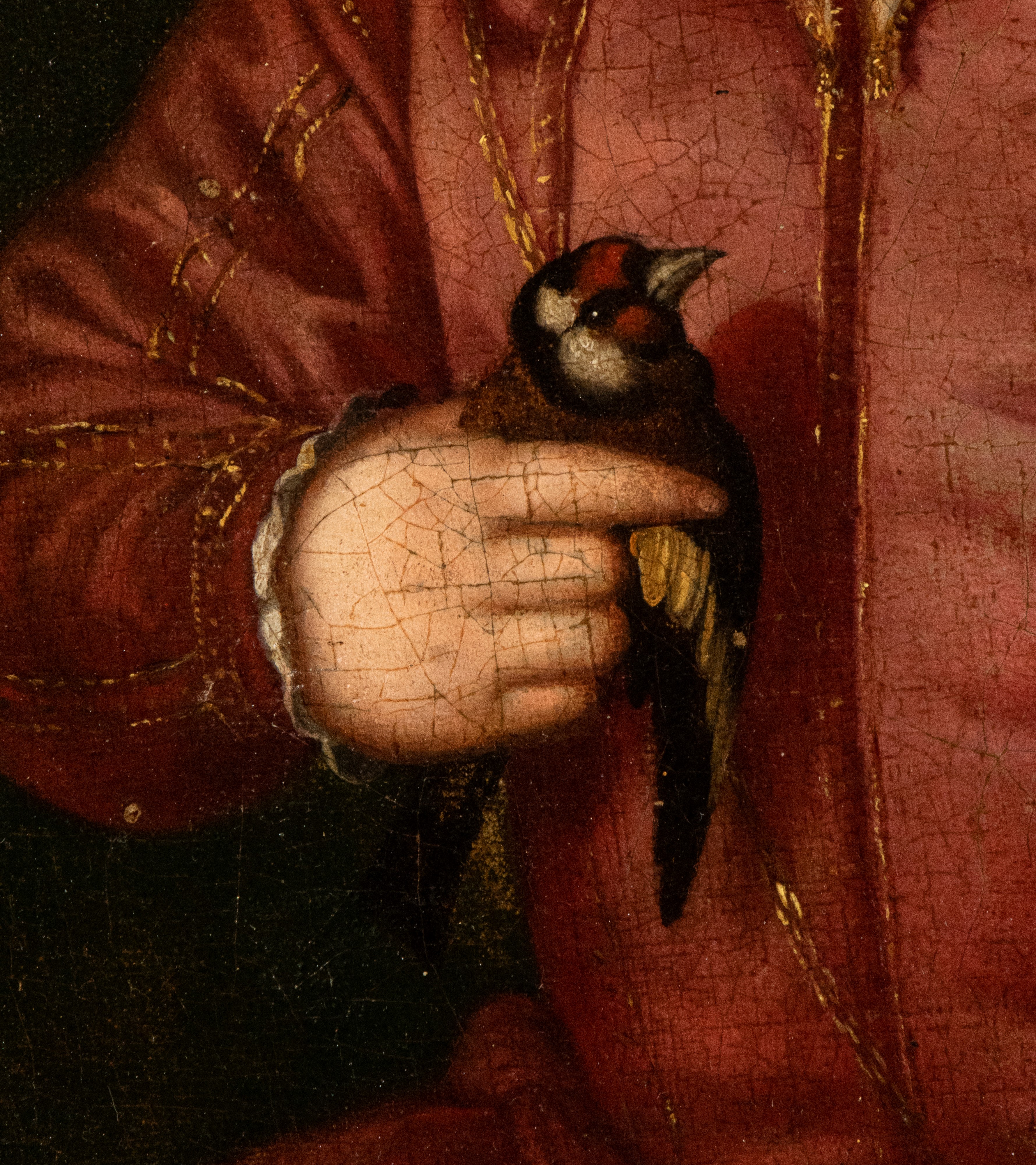 Agnolo di Cosimo il Bronzino - Ritratto di Giovanni De' Medici con Cardellino