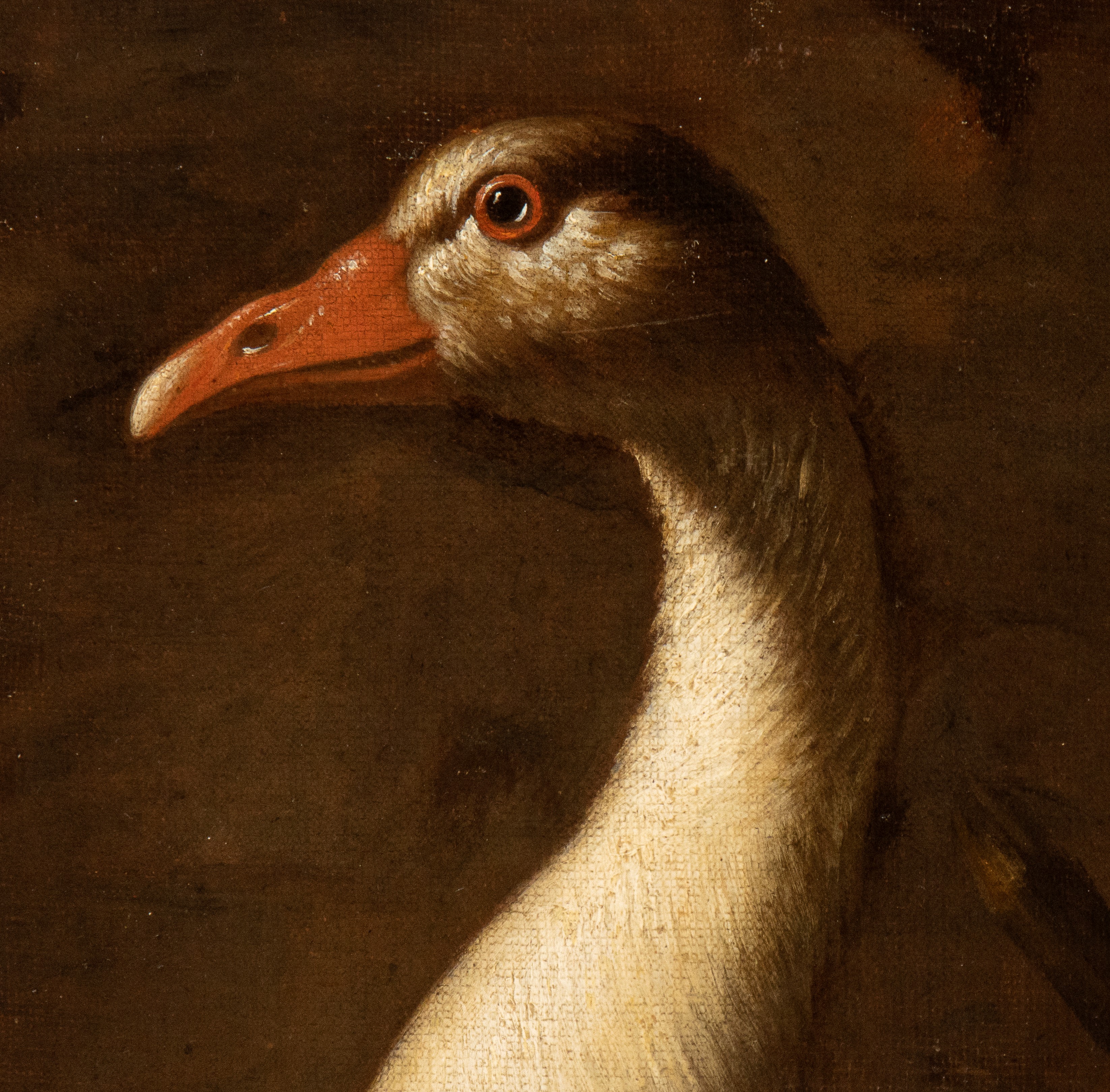 Pastore in un paesaggio con cani e vari animali