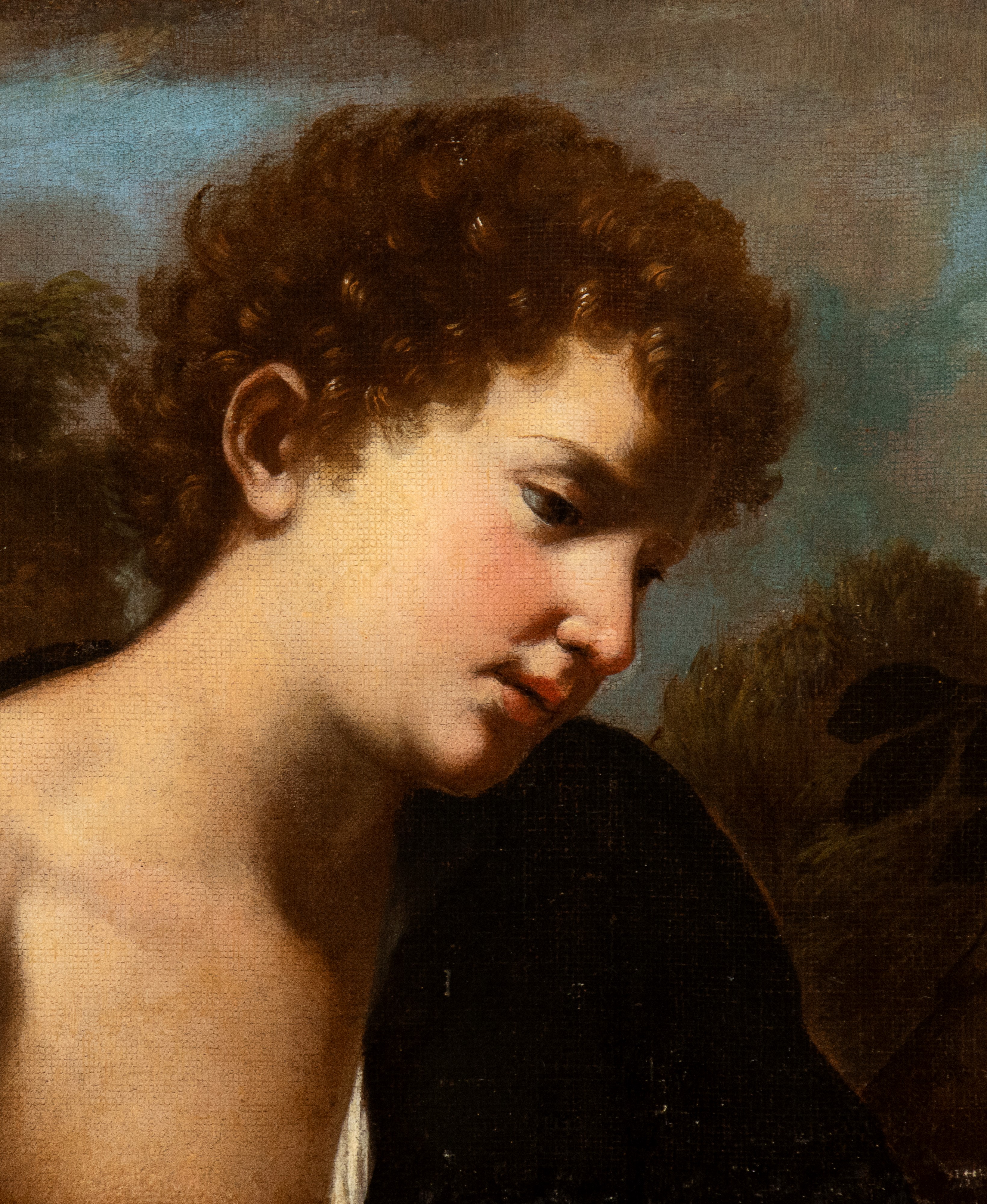 Pastore in un paesaggio con cani e vari animali