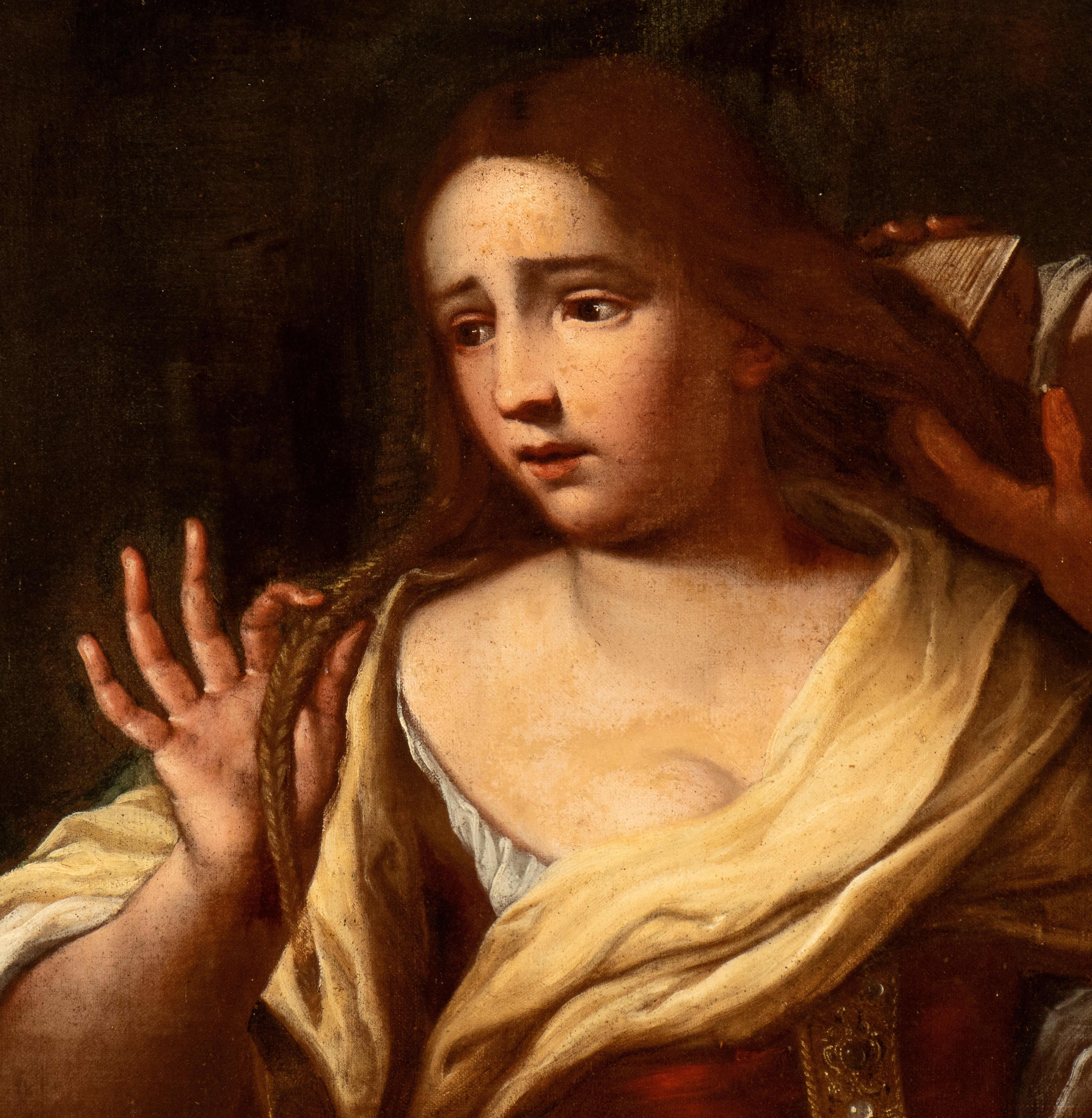 Artista Genovese, XVII Secolo - La Chioma di Berenice