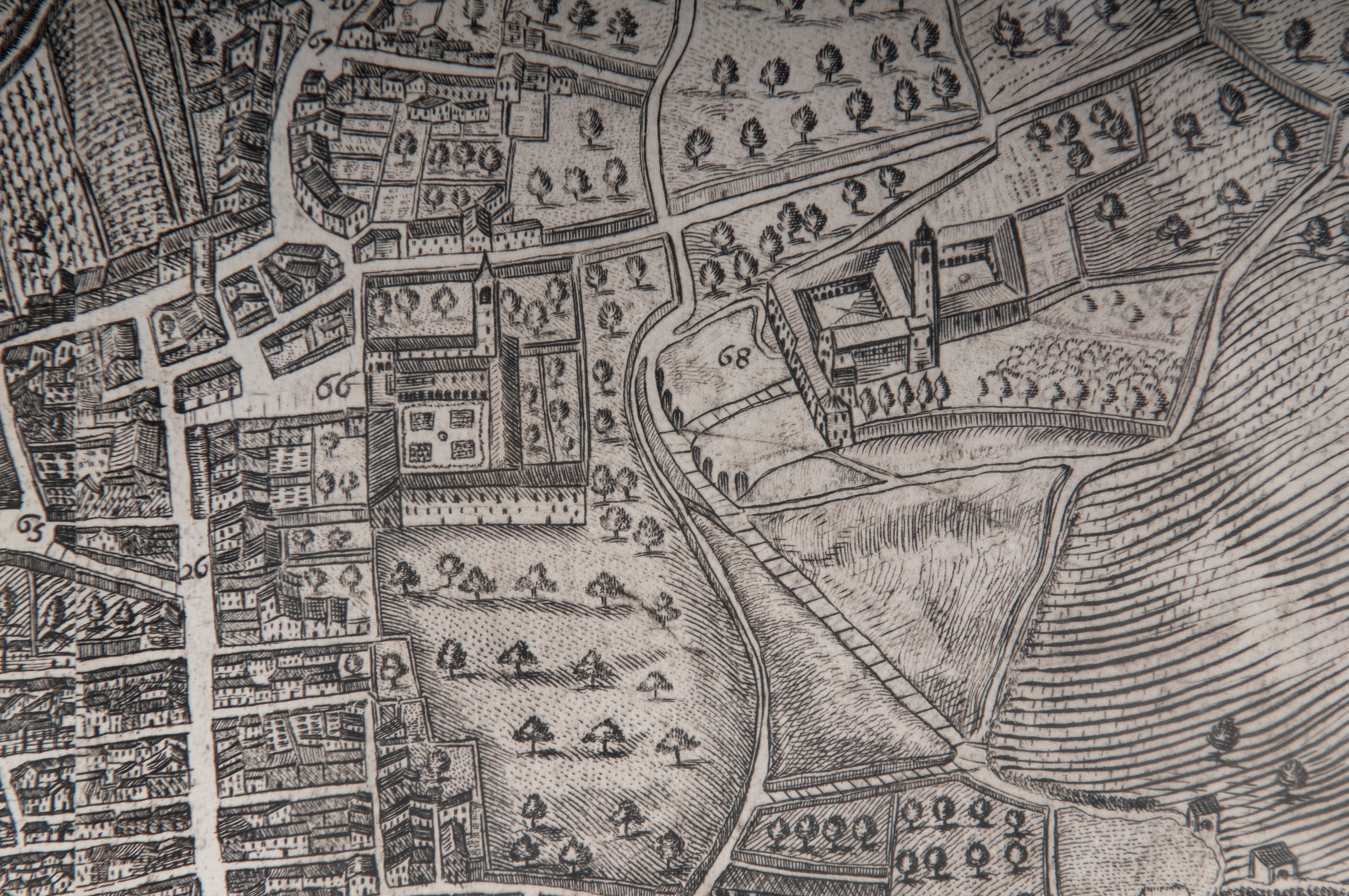 Petrus Miotte Pianta della Città di Ascoli Piceno
