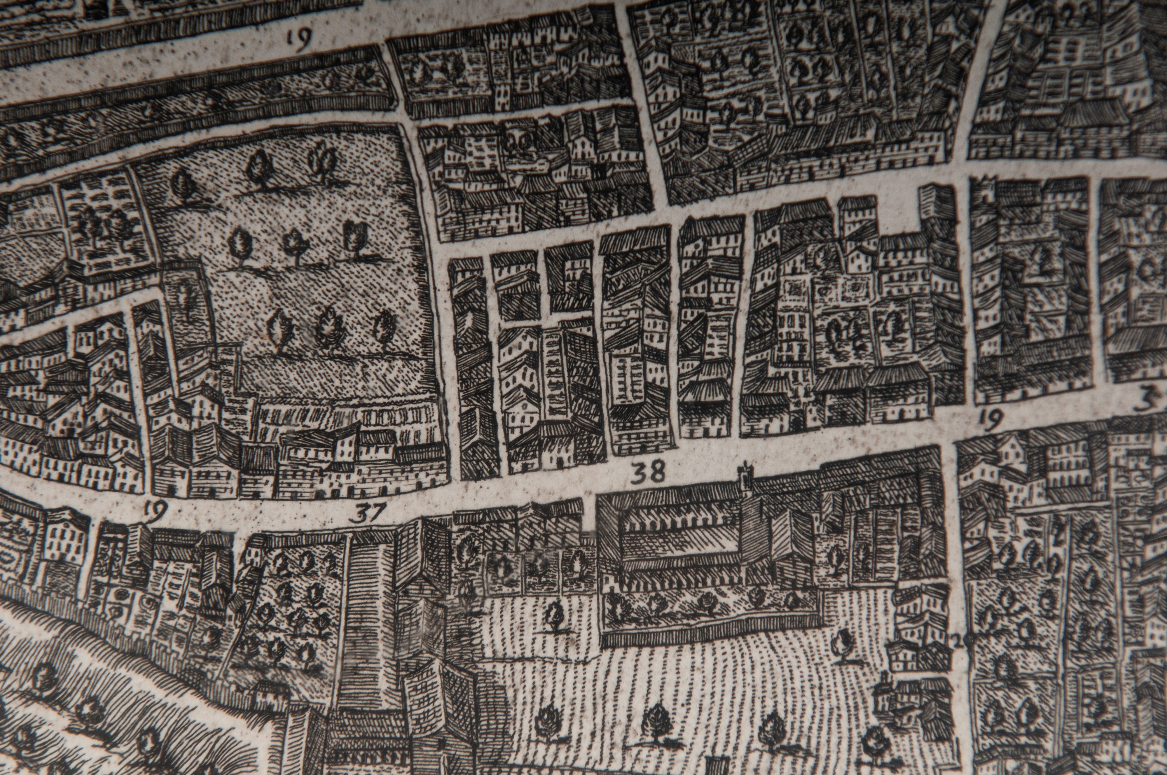 Petrus Miotte Pianta della Città di Ascoli Piceno
