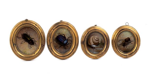 Group of four paintings on paper with insects