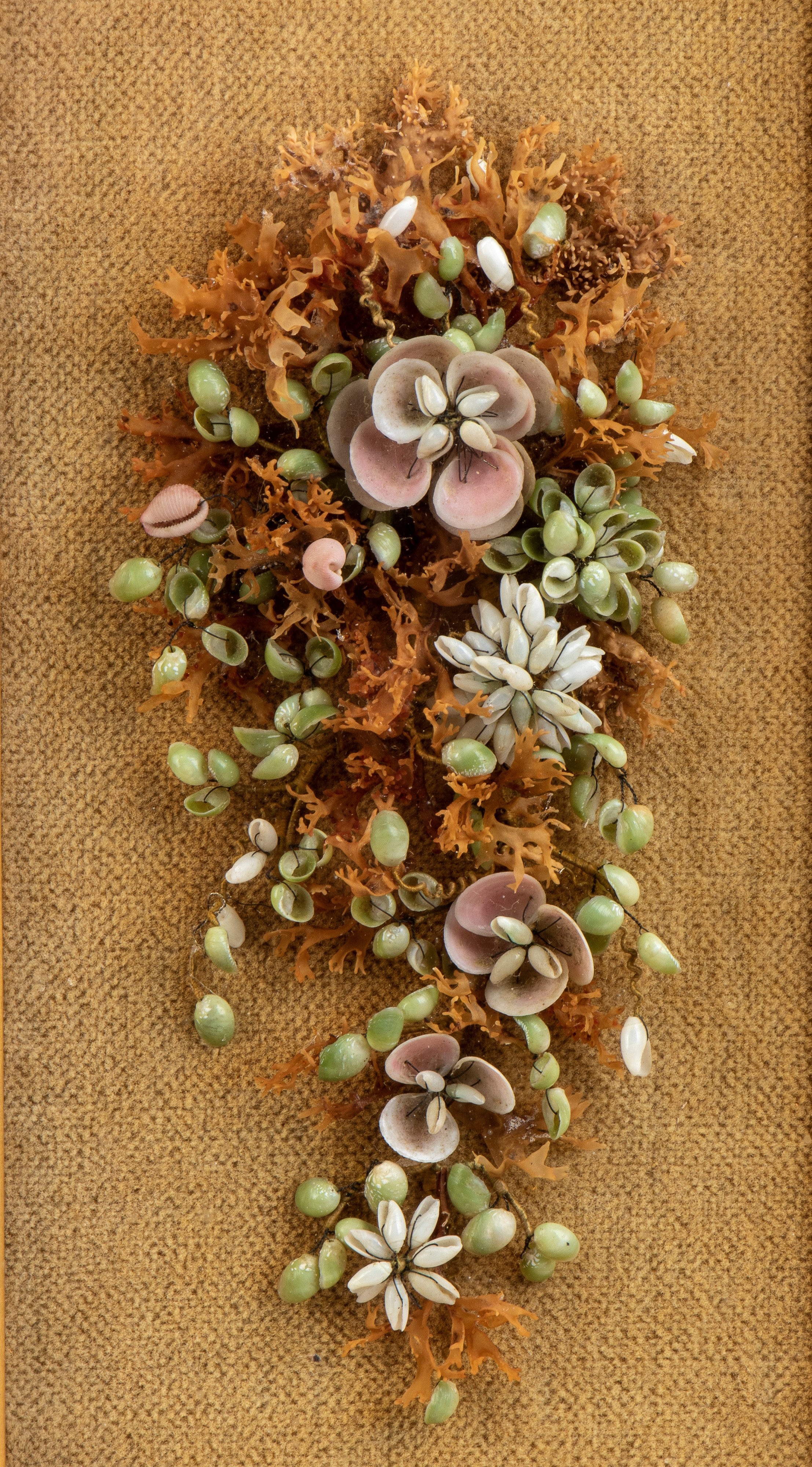Cornice inglese vittoriana con dono decorativo in conchiglie, XIX secolo