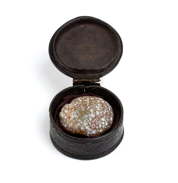 Bezoar with leather case