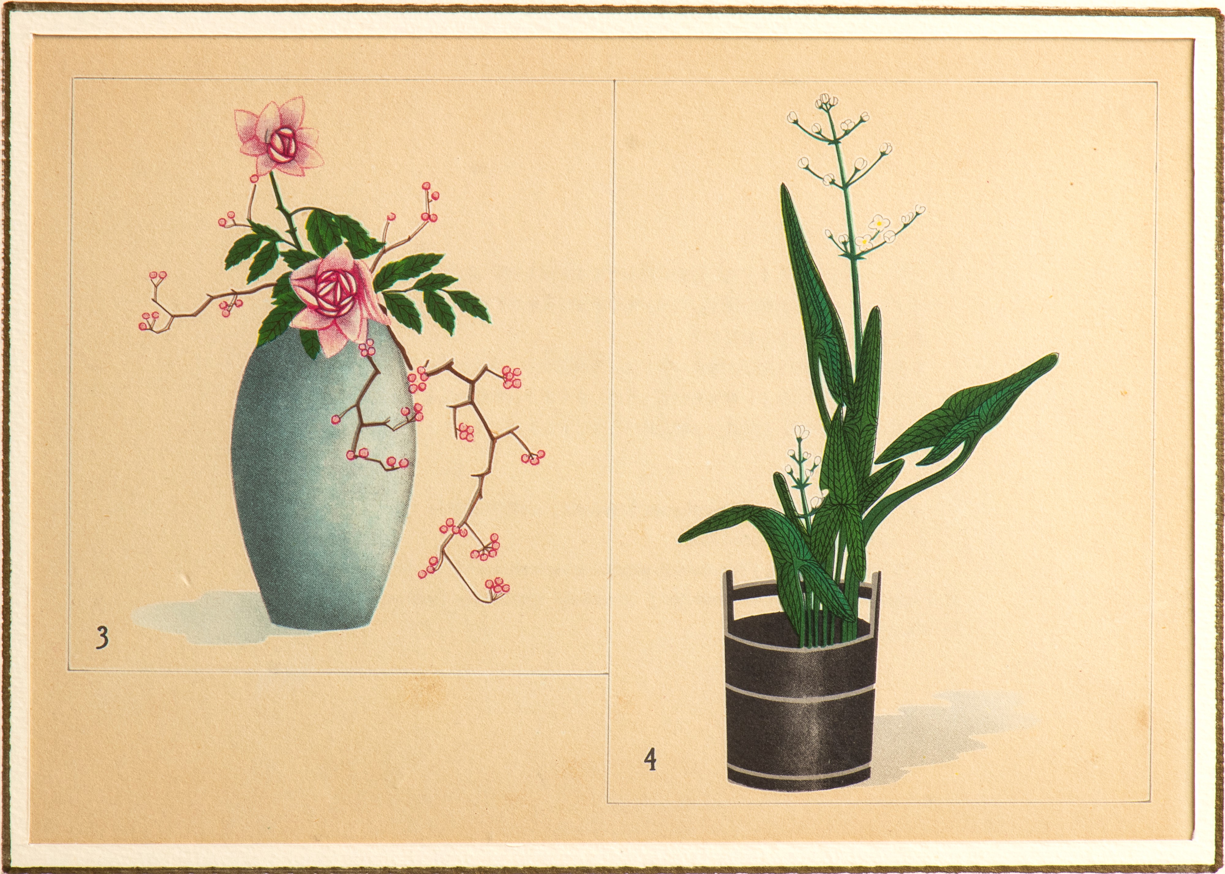 5 xilografie policrome