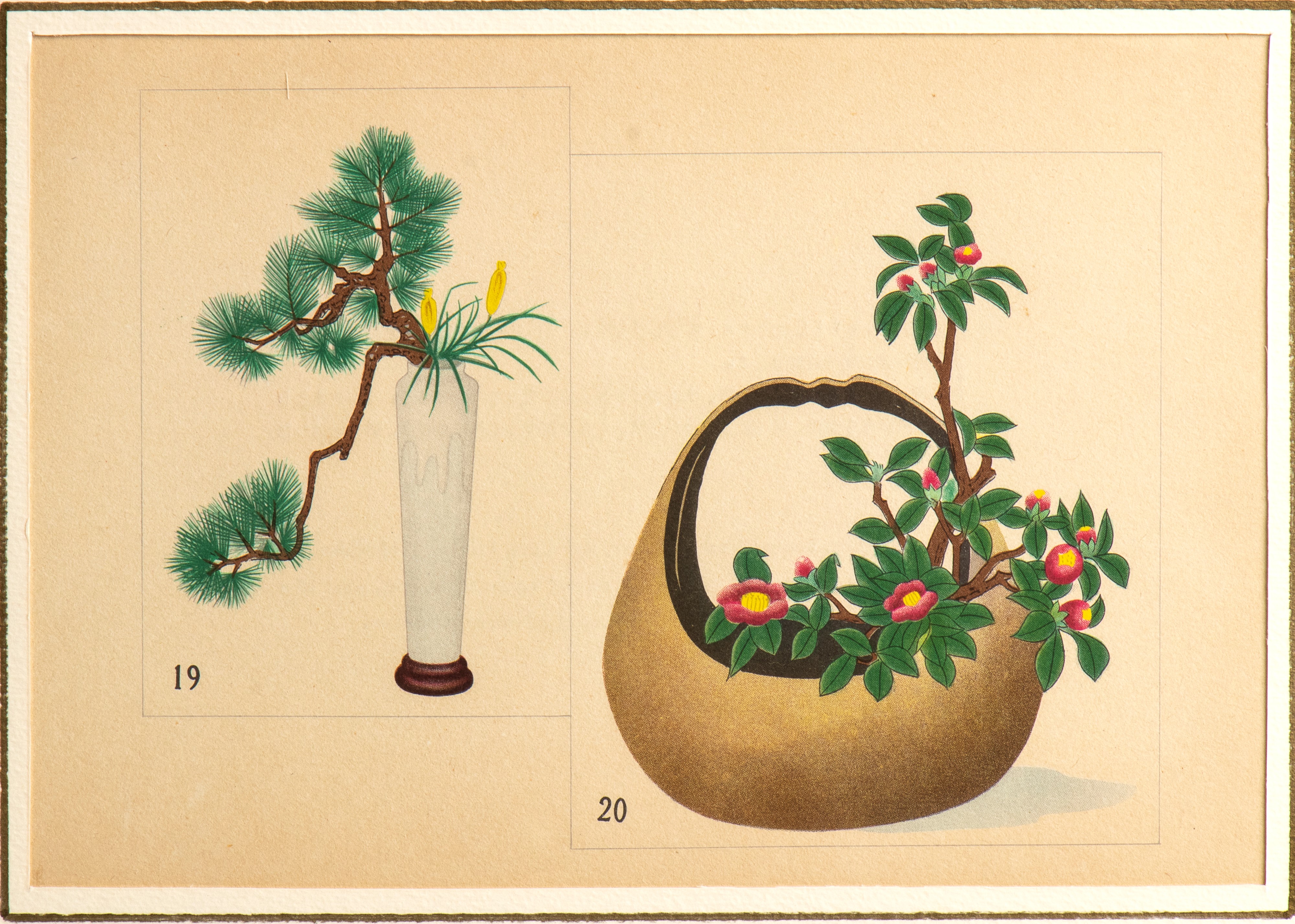 5 xilografie policrome