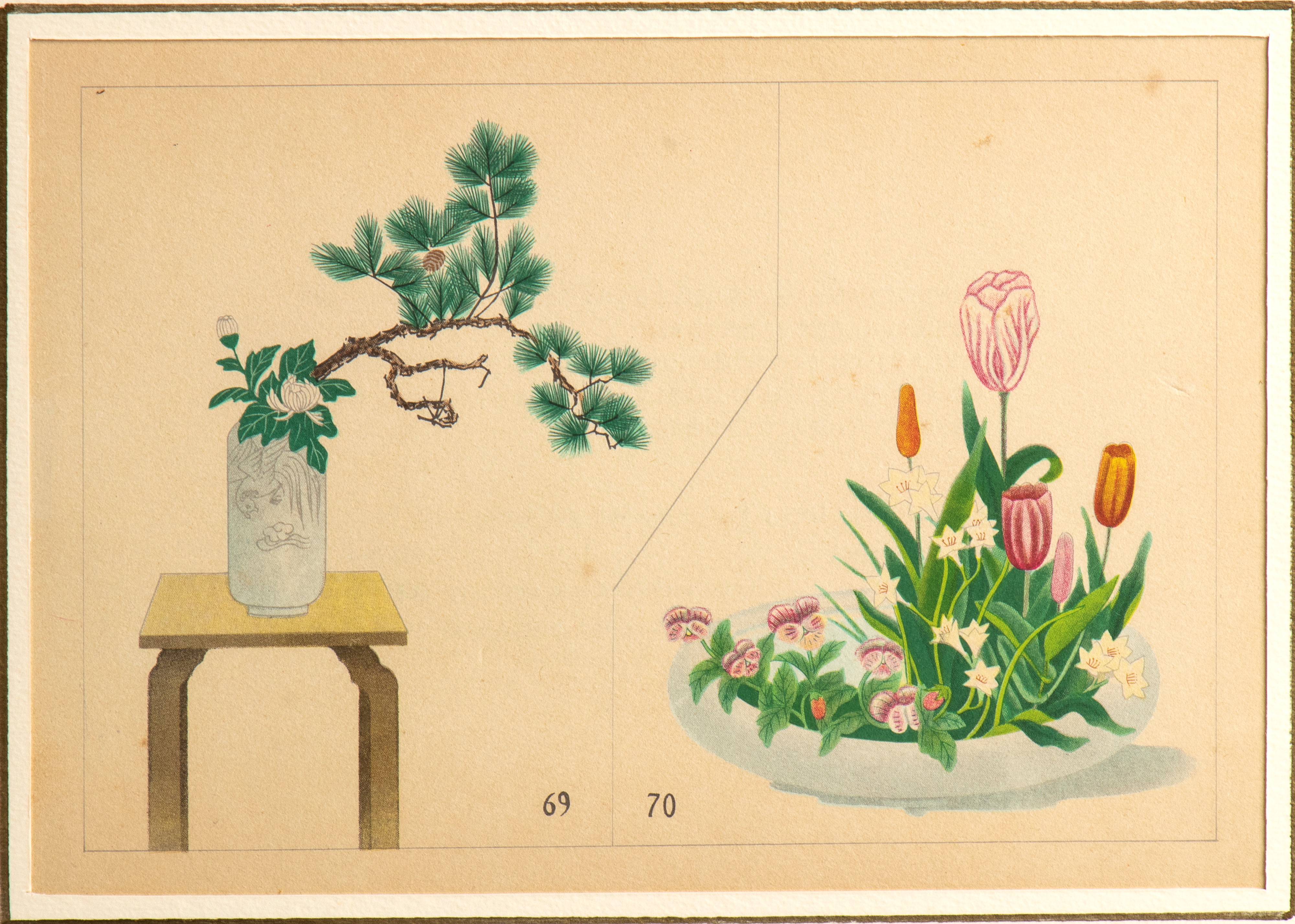 5 xilografie policrome