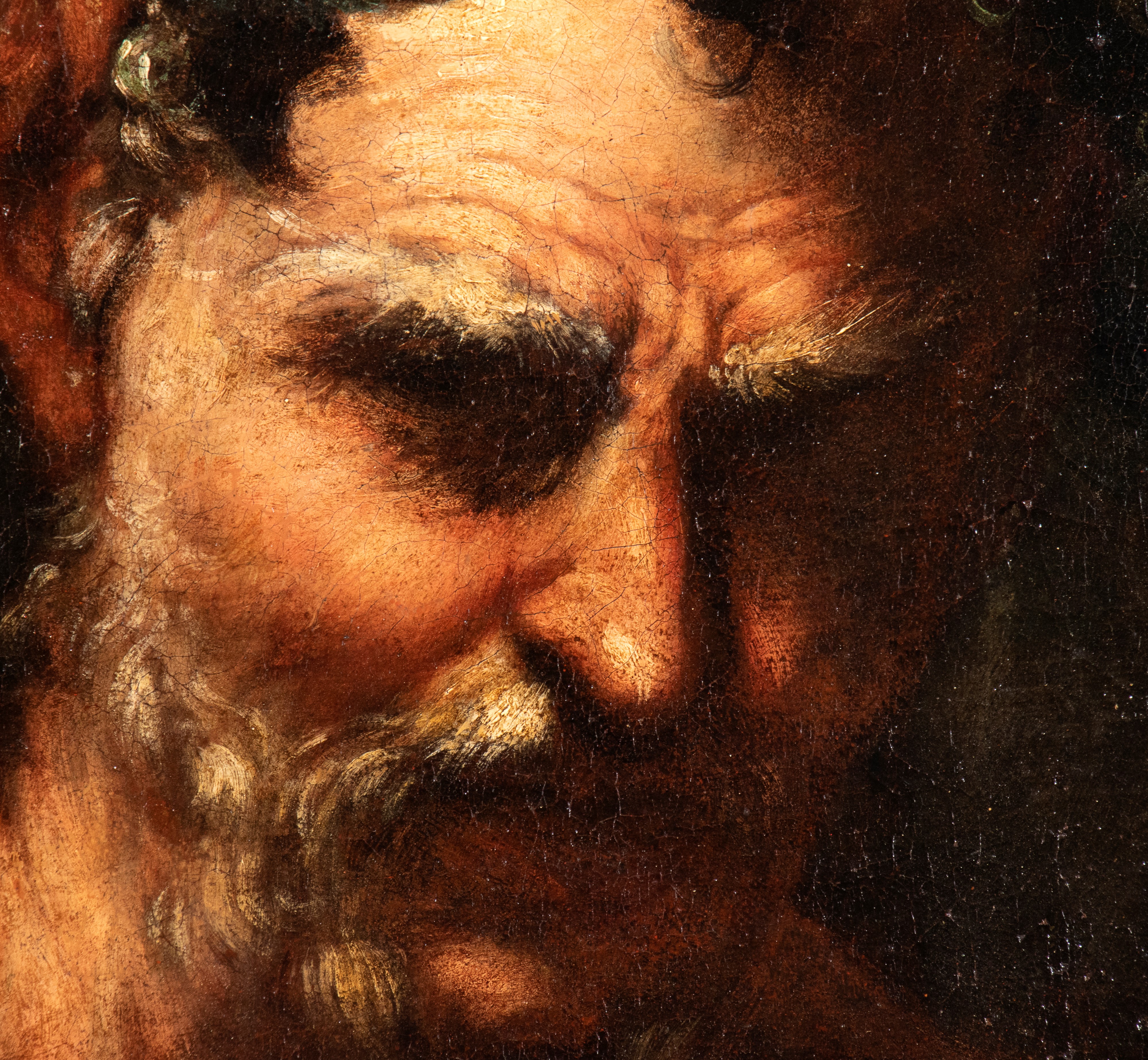 Artista Attivo a Roma, Metà XVII Secolo - Testa di Satiro