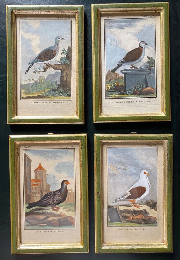 Georges-Louis Leclerc de Buffon - La tourltelle a collier | Le pigeon-polonois | La tourltelle commune | Le pigeon-cravate