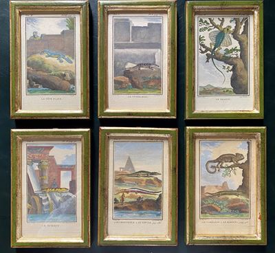 Le Tupinambis | le Cameleon | le Crocodile | le Scinque | le Dragon | la Tete Plate