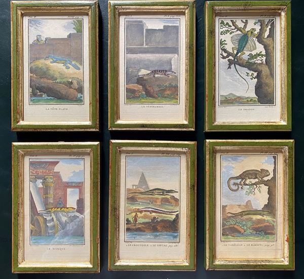 Georges-Louis Leclerc de Buffon - Le Tupinambis | Le cameleon | Le crocodile | Le scinque | Le dragon | La tete plate
