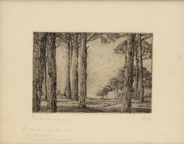 Tronchi in autunno | Castel Fusano