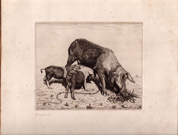 Laurenzio Laurenzi - Scrofa con cuccioli