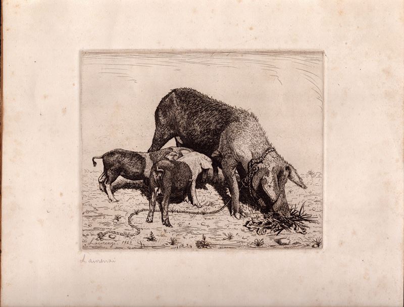 Laurenzio Laurenzi - Scrofa con Cuccioli