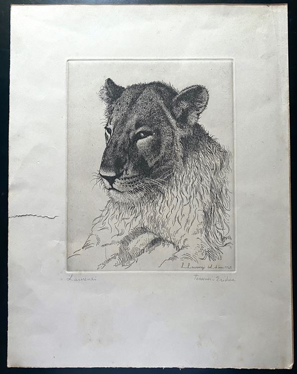 Laurenzio Laurenzi - Tessenei - Eritrea