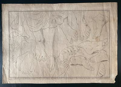 Contorni ... Lucidati dal Celebre Quadro di Rafaele D'urbino in S. Pietro in Mortorio