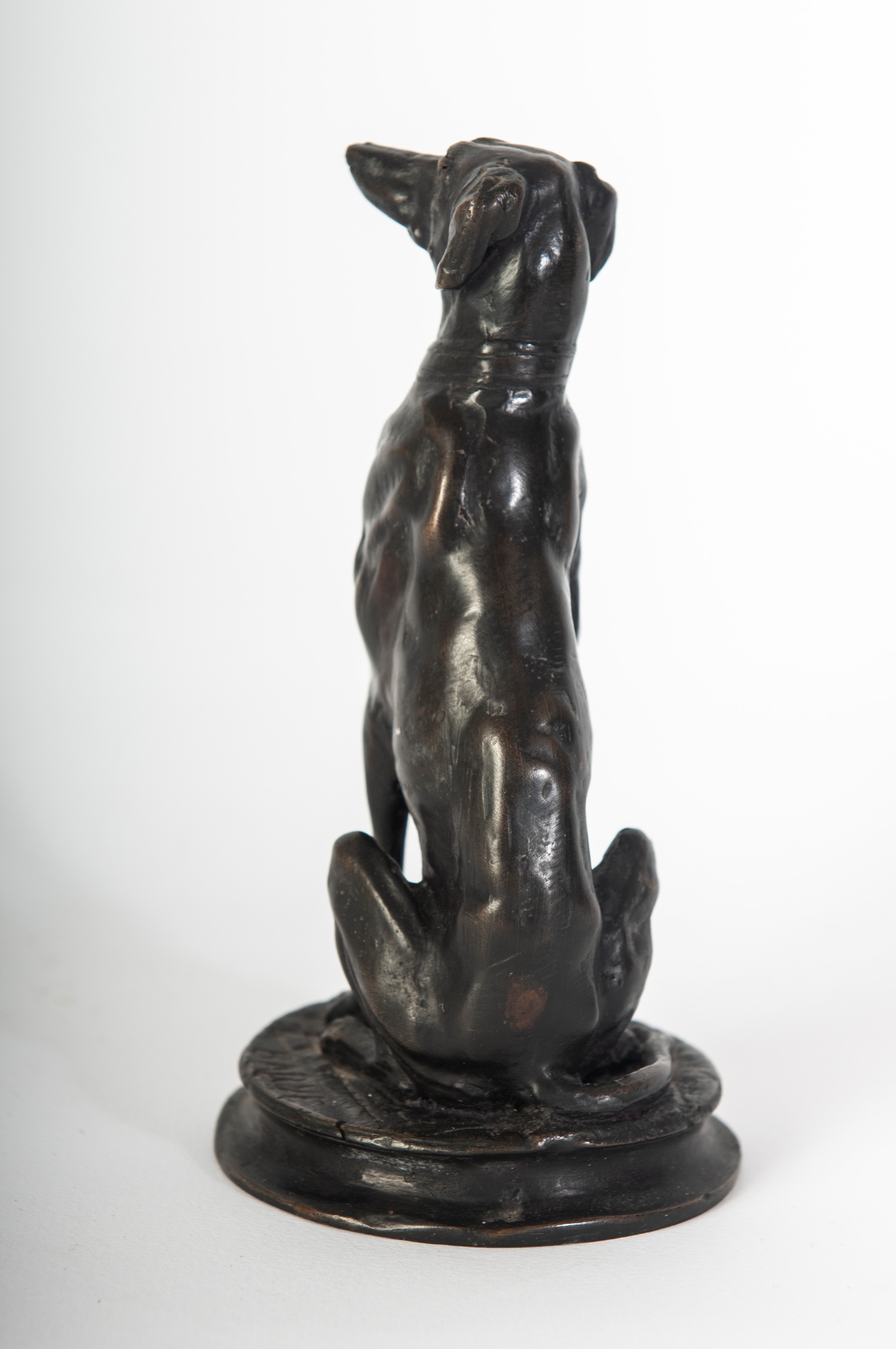 Levriero , scultura in bronzo a tutto tondo